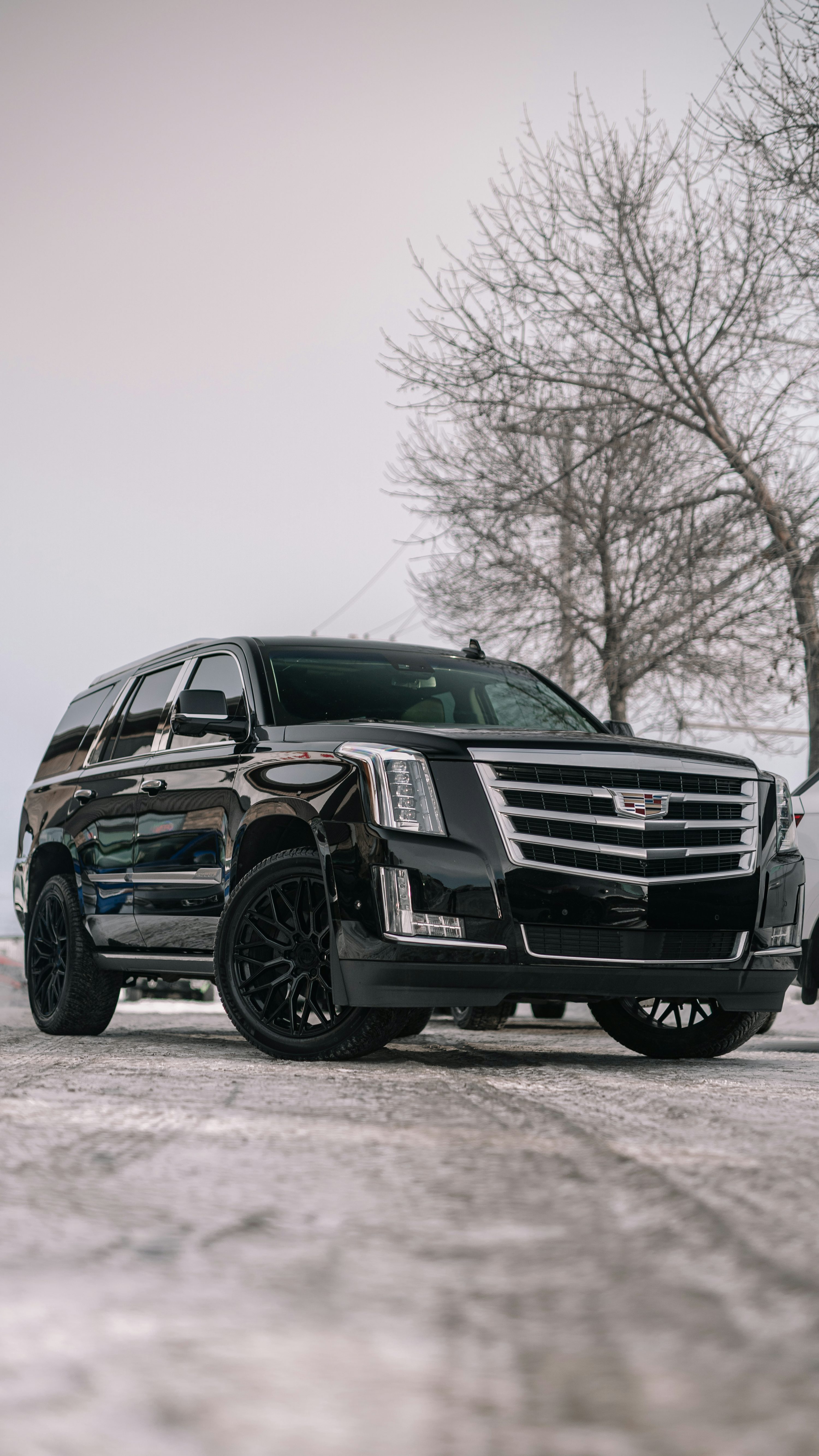 Cadillac Escalade Picture. Download Free Image