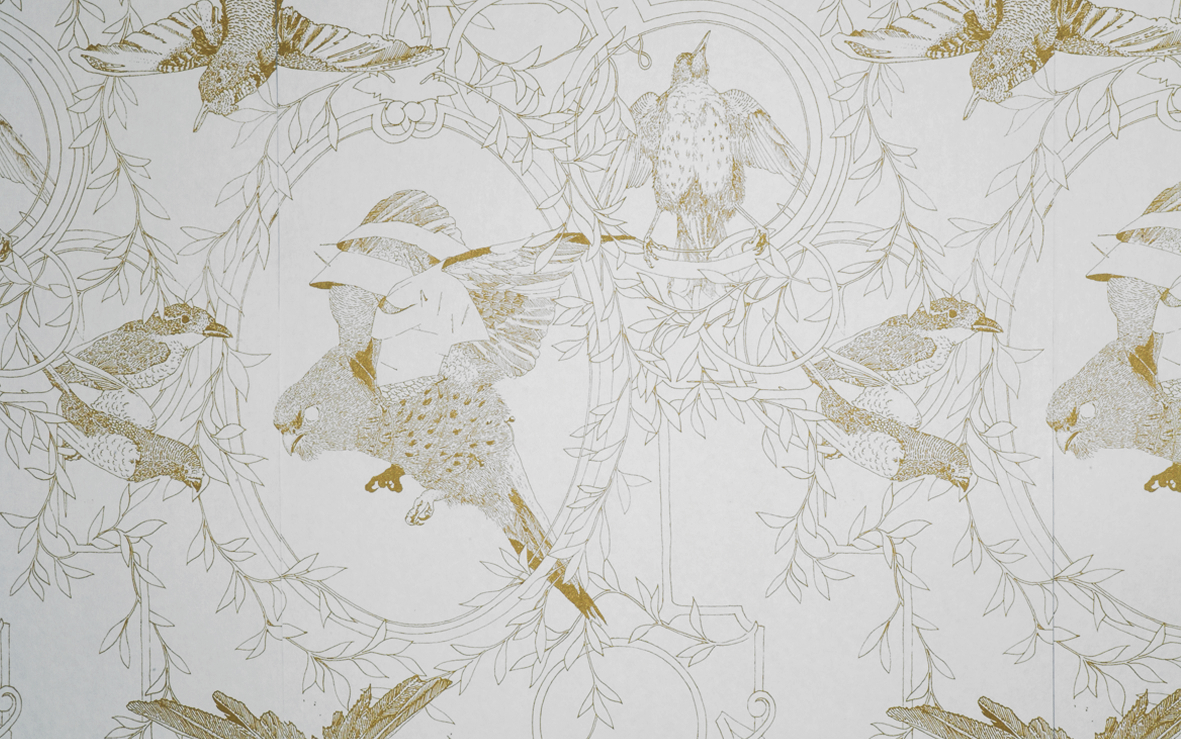 Taxidermy Birds Wallpaper