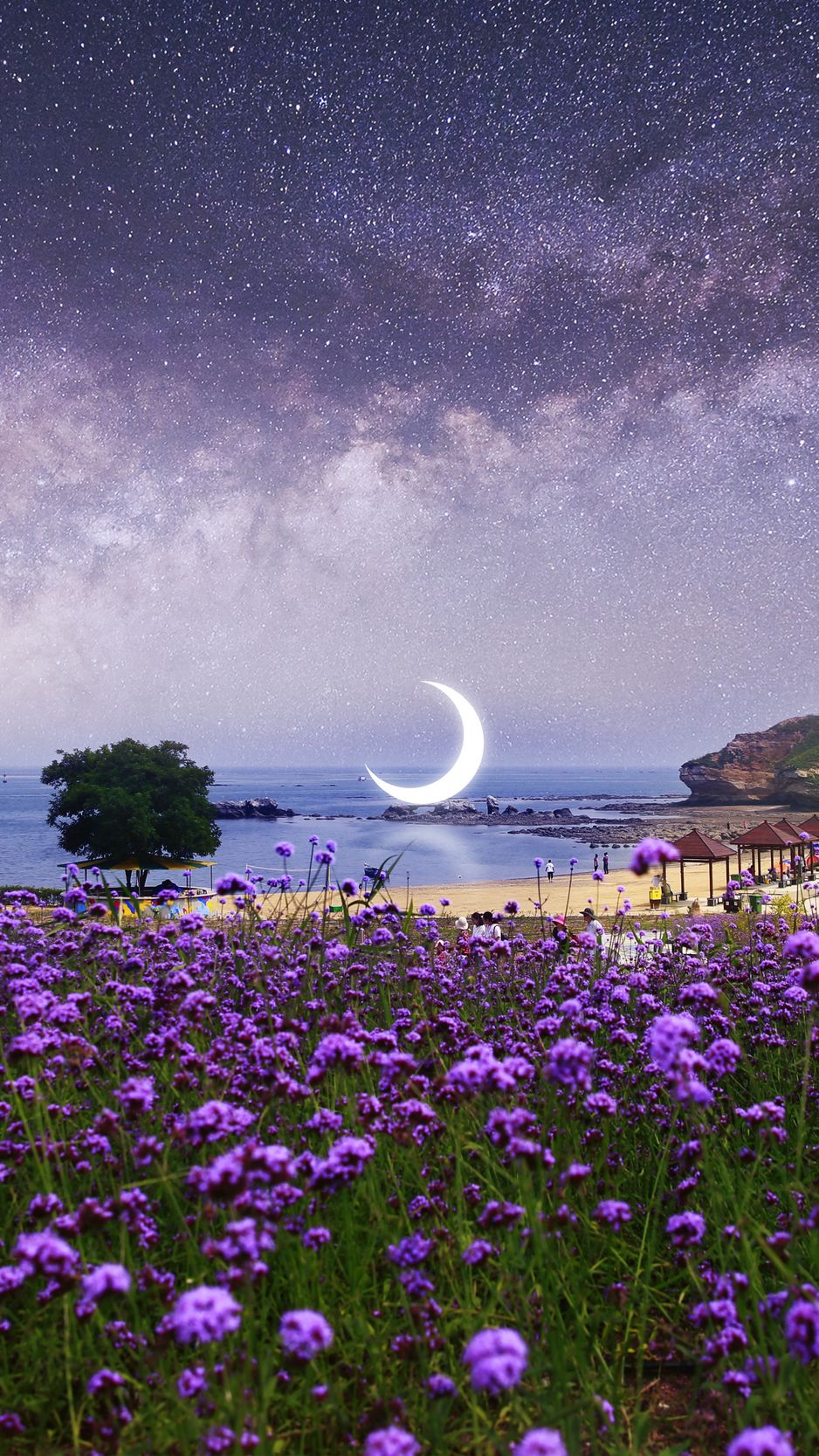 Download Wallpaper 938x1668 Moon, Starry Sky, Photohop, Beach, Milky Way, Flowers Iphone 8 7 6s 6 For Parallax HD Background