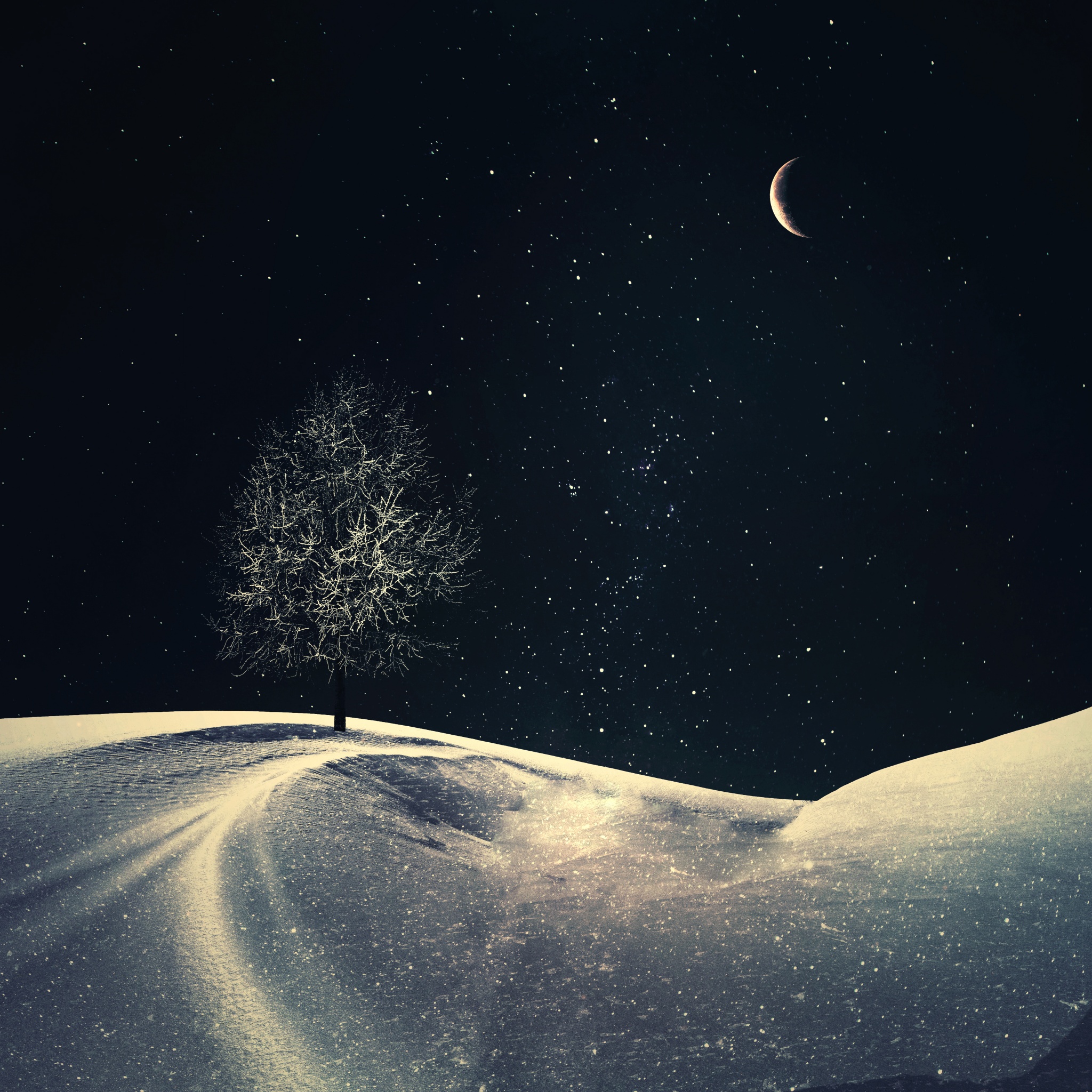 Lone tree Wallpaper 4K, Crescent Moon, Night, Starry sky