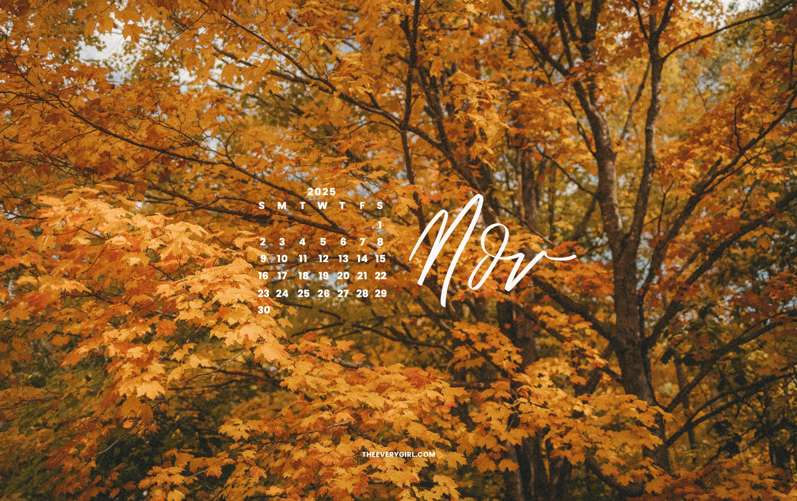 November Tech Background: Stunning Fall Tech Wallpaper