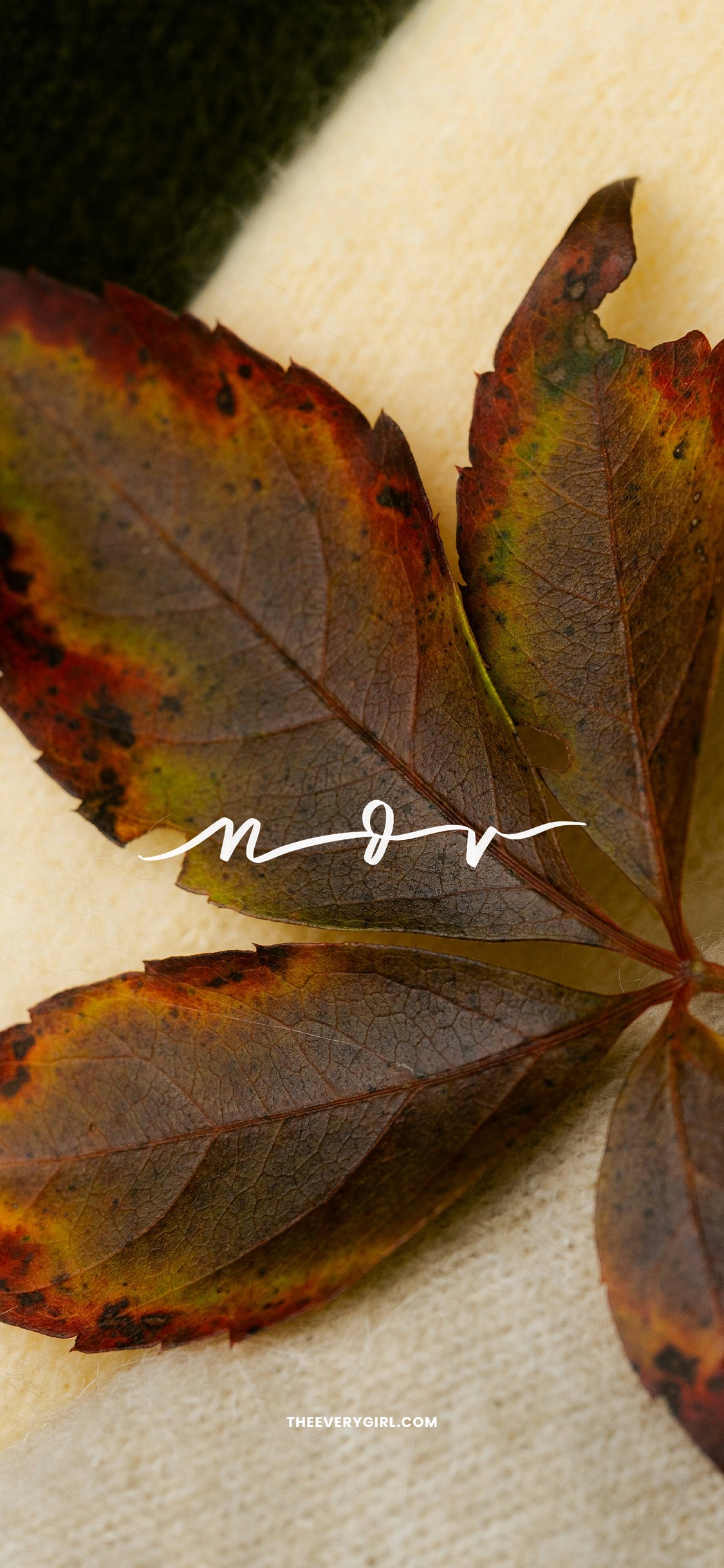 November 2025 Tech Background: Free, Downloadable Wallpaper!