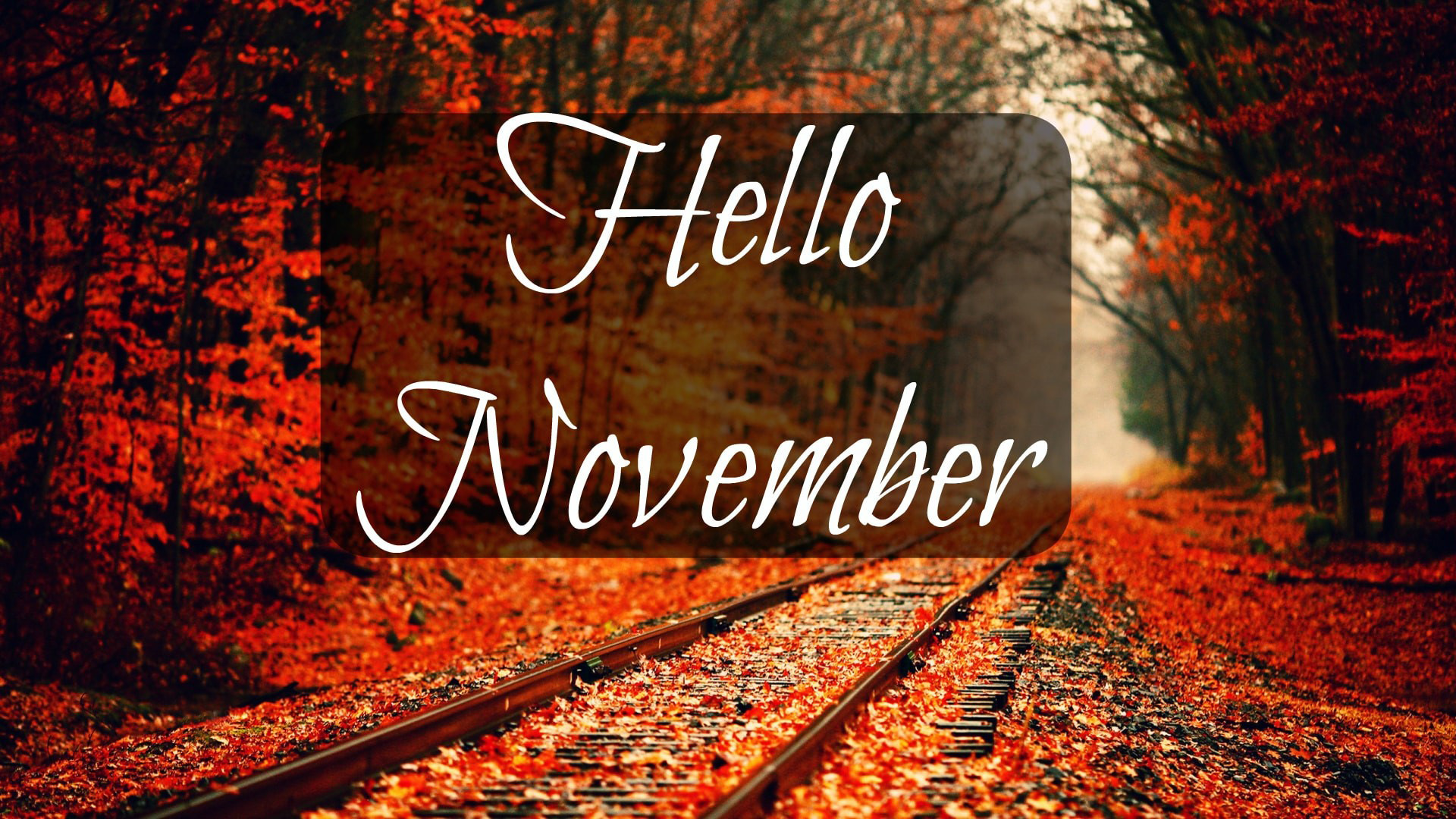 Hello November Red Autumn Leaves Trees Railway Track Background HD November Wallpaper