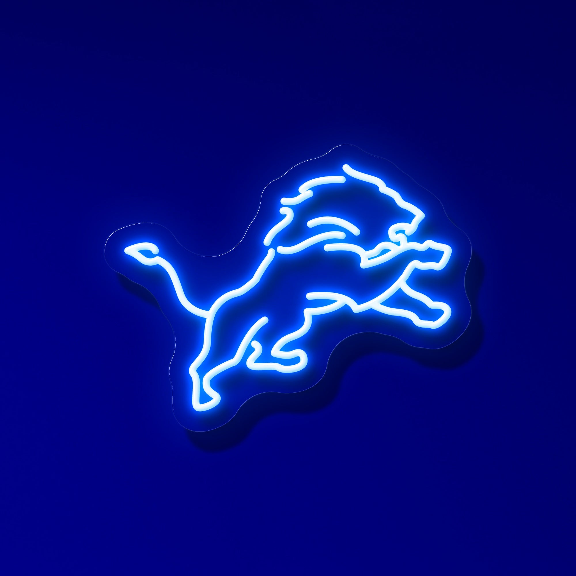 NFL Detroit Lions