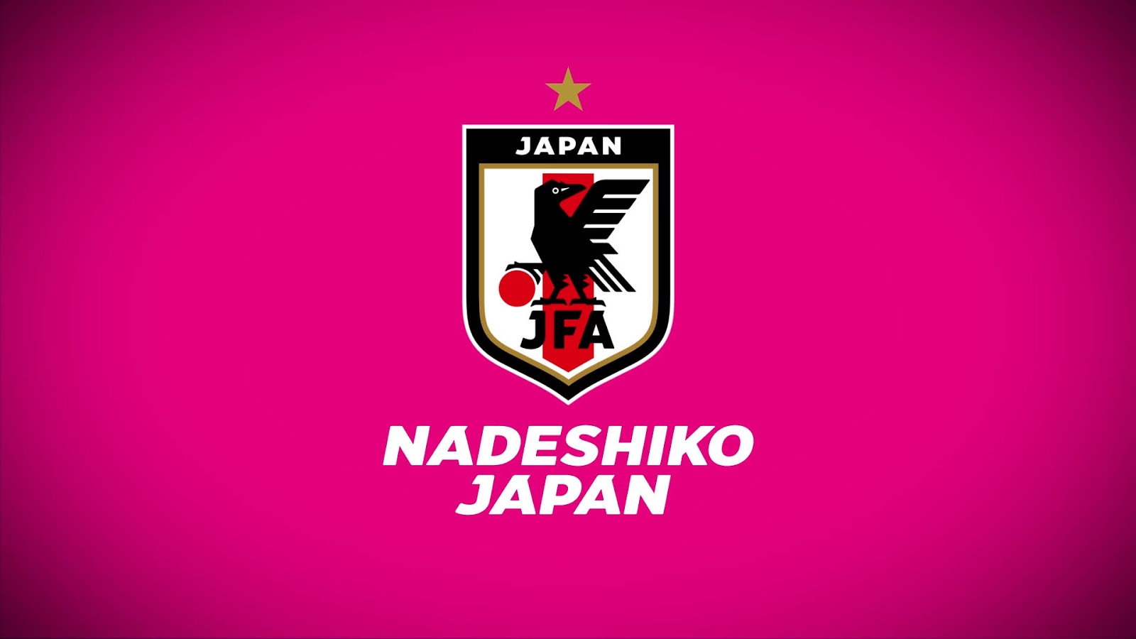 All New Japan 2018 National Team Logo Revealed