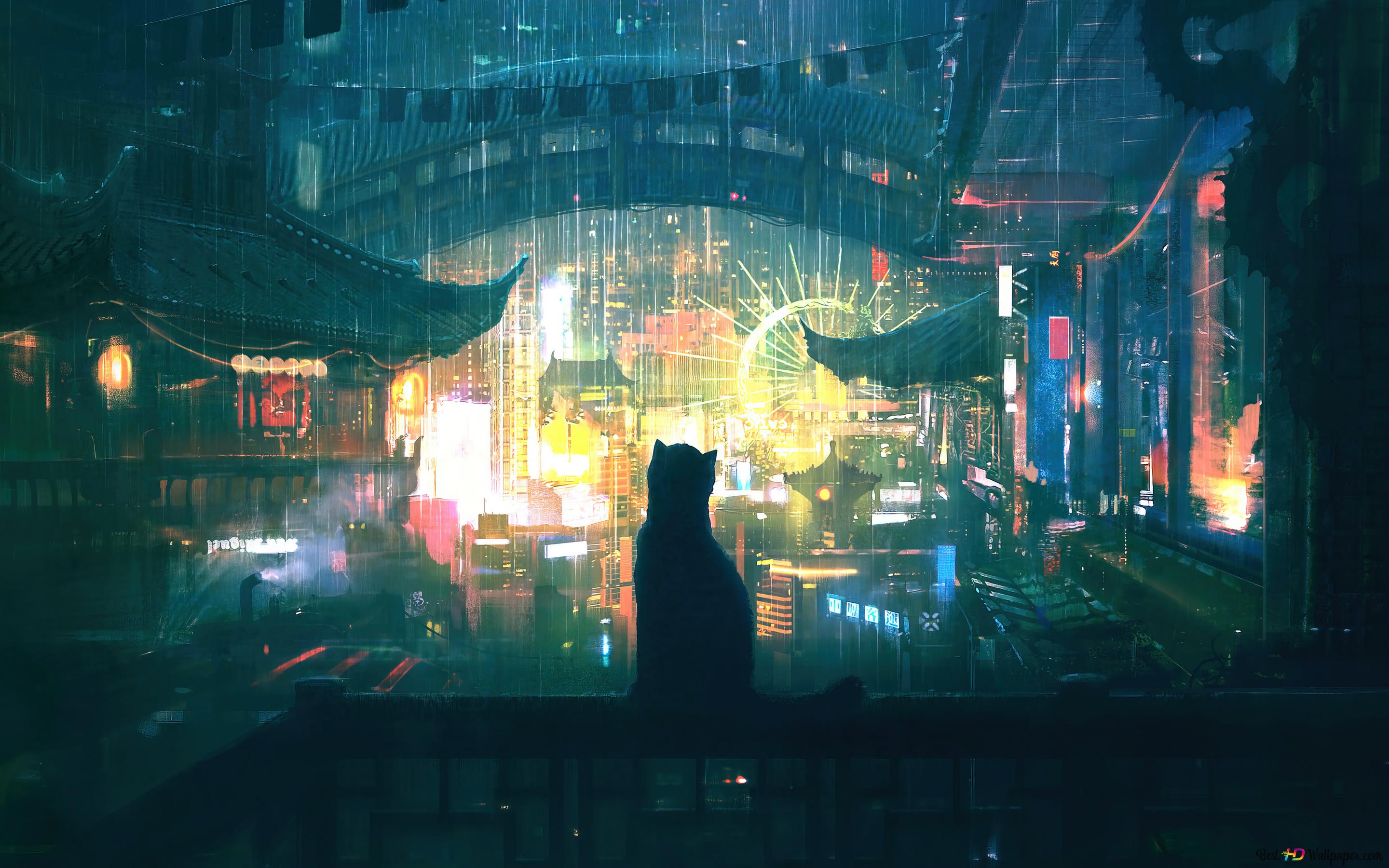 Cat watching city 4K wallpaper download