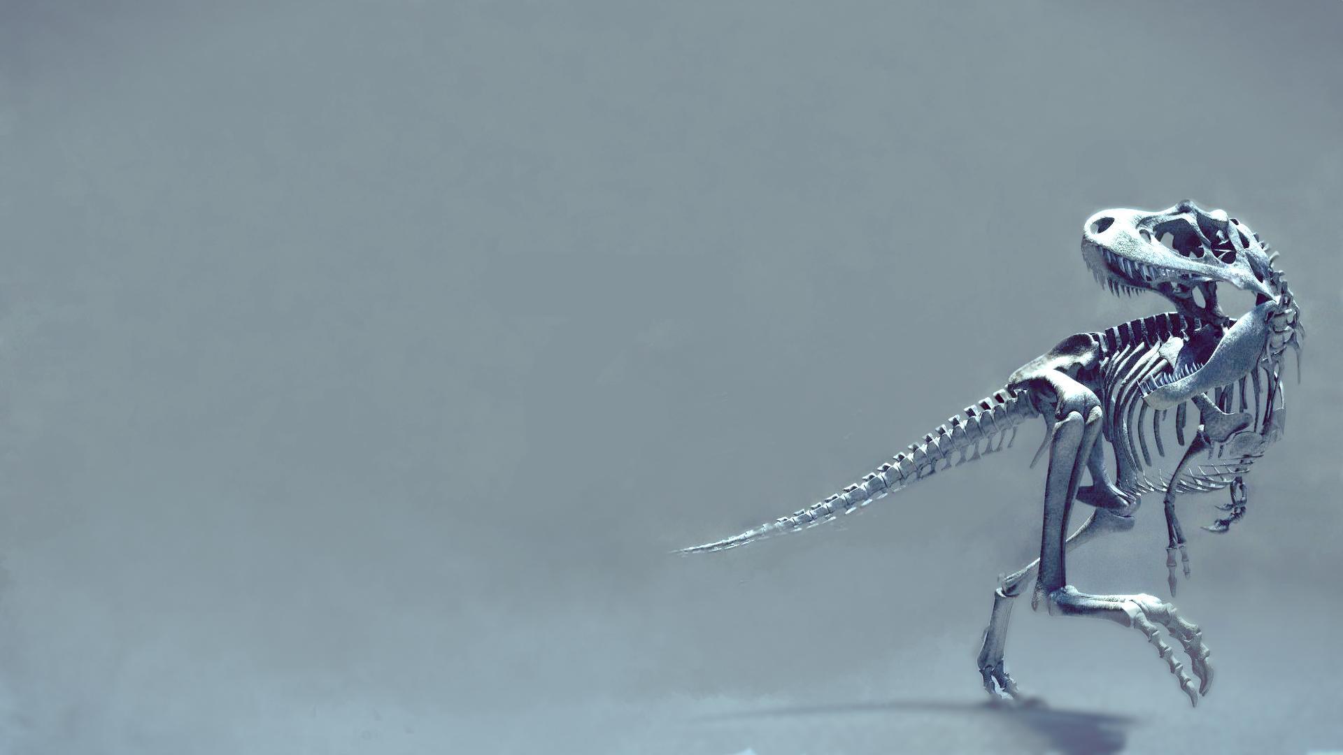 Dinosaur skeleton Desktop wallpaper 1920x1080