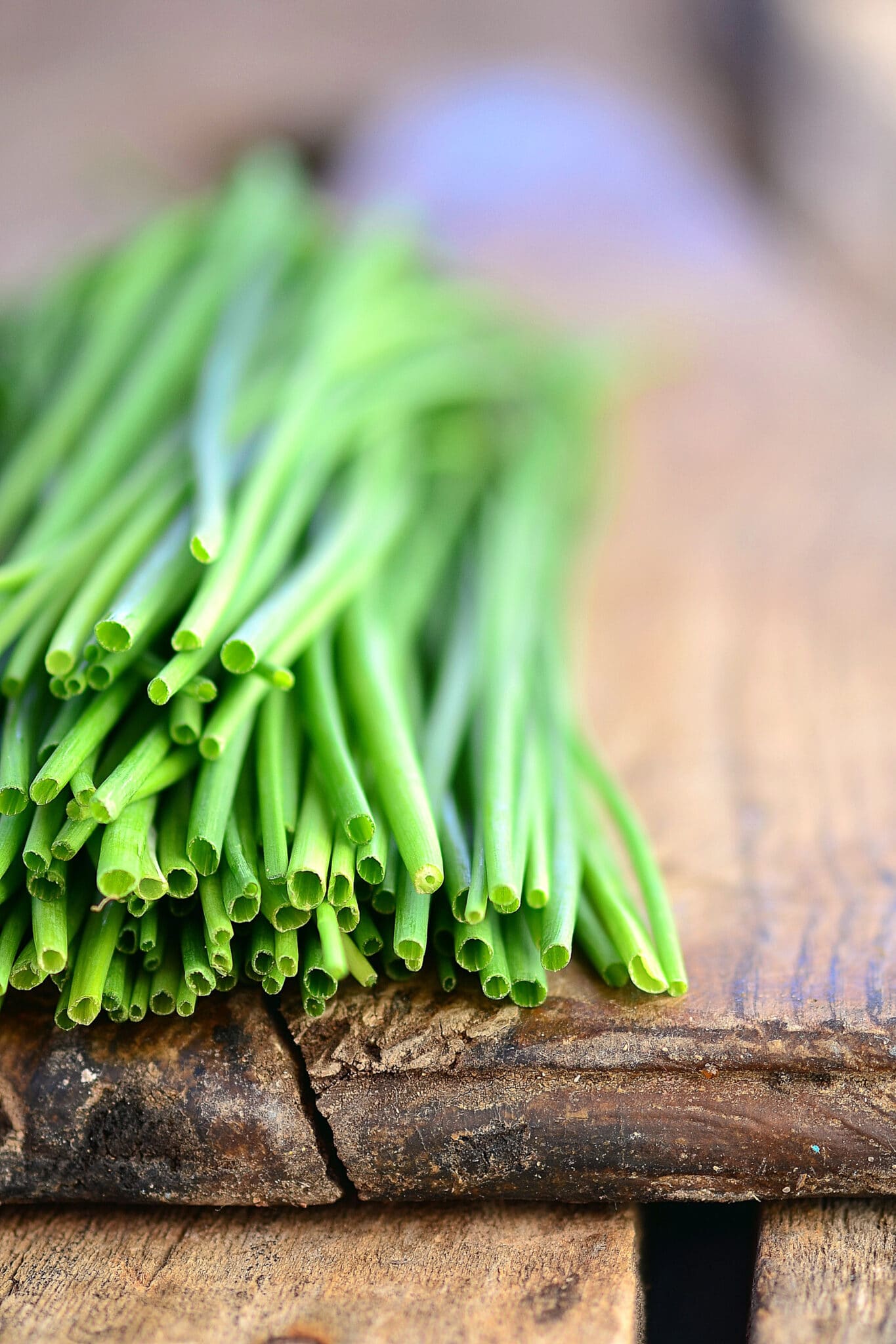 Chive Plant: How To Grow, Harvest & Use Them