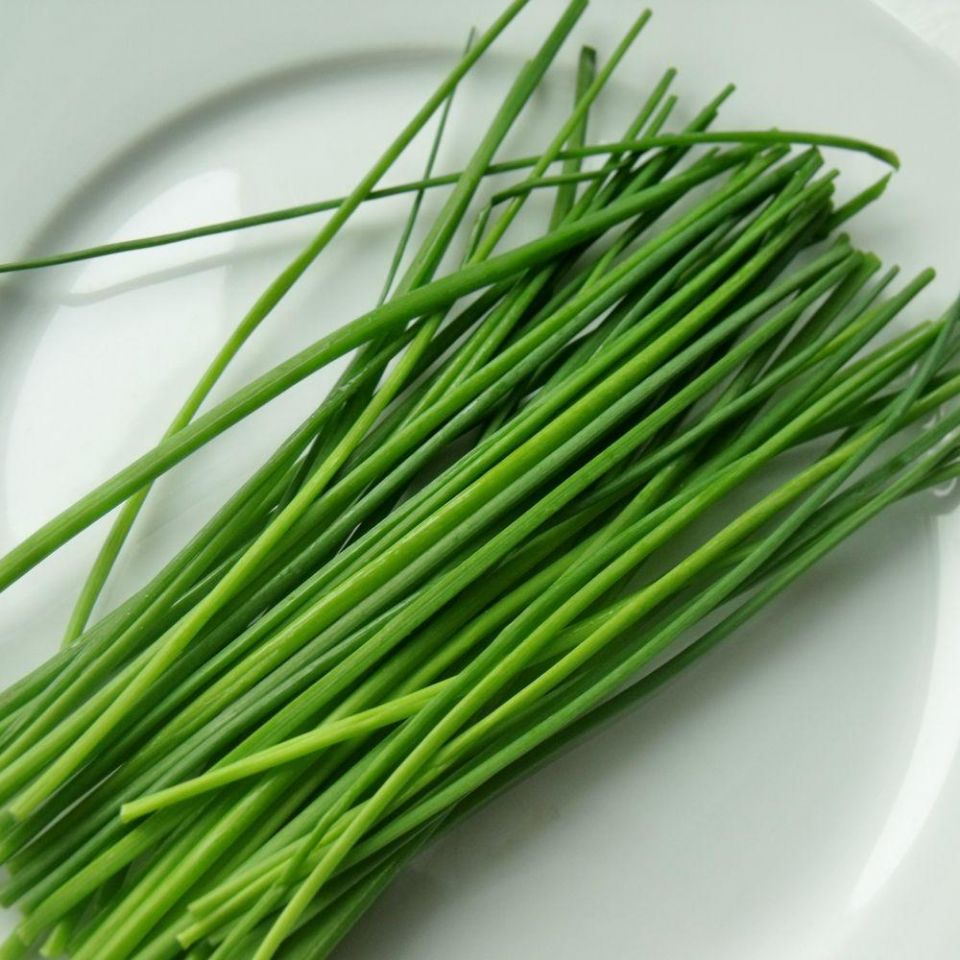 Chives