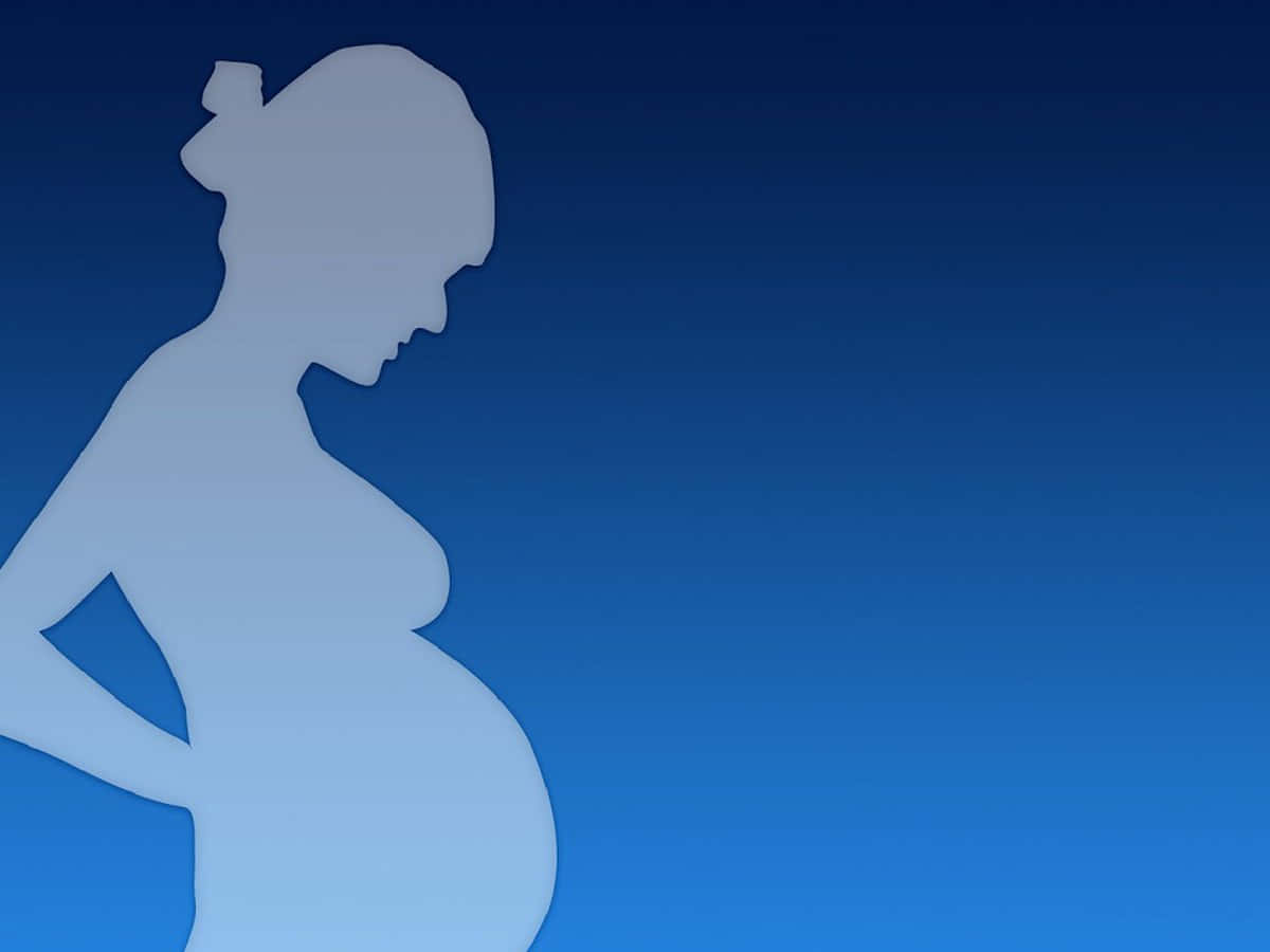Download Pregnant Woman Outline Blue Digital Art Wallpaper
