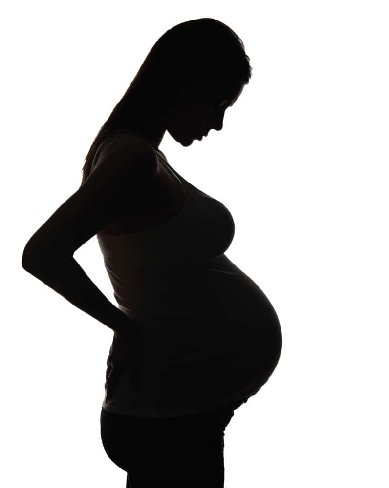 Download High Brightness Pregnant Woman Silhouette Wallpaper
