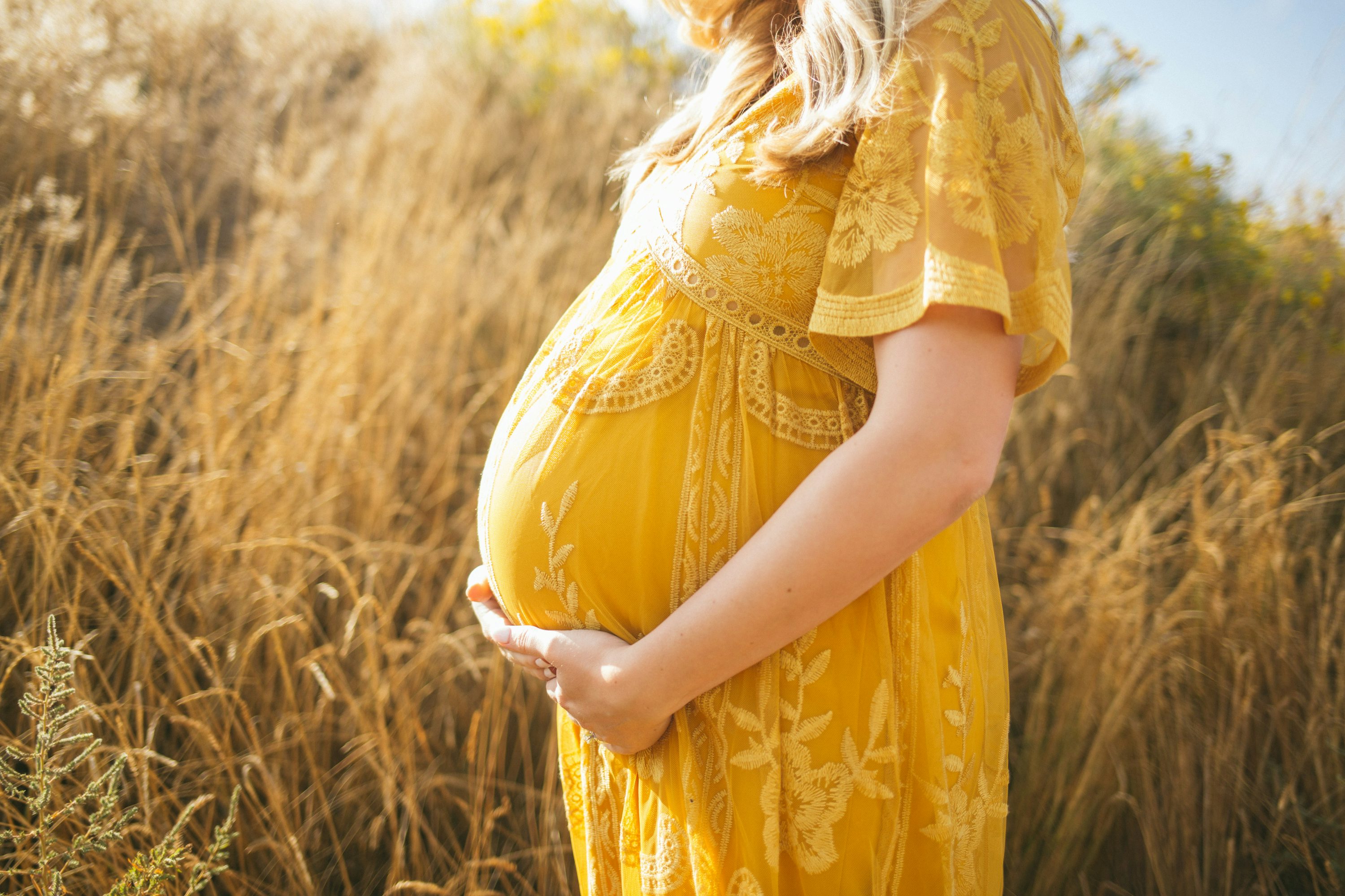 Pregnancy Picture. Download Free Image