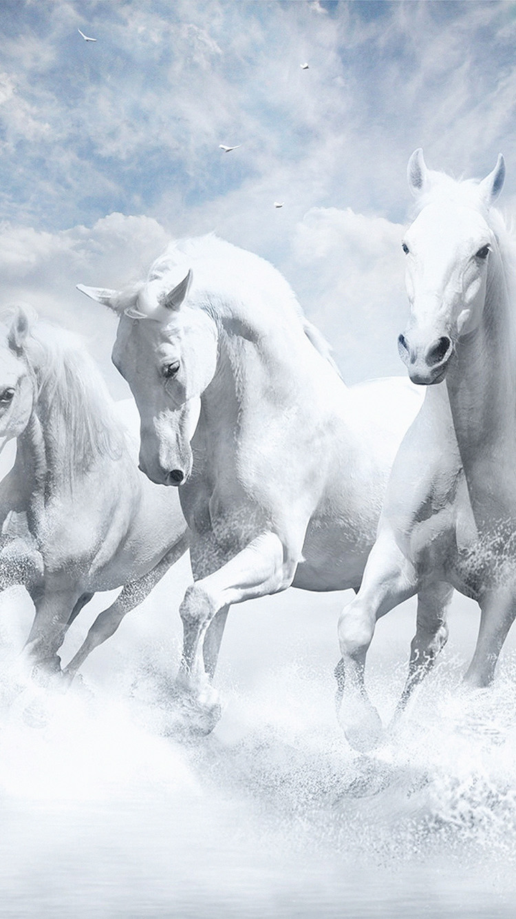 iPhone X wallpaper. white horses water sky illustration art