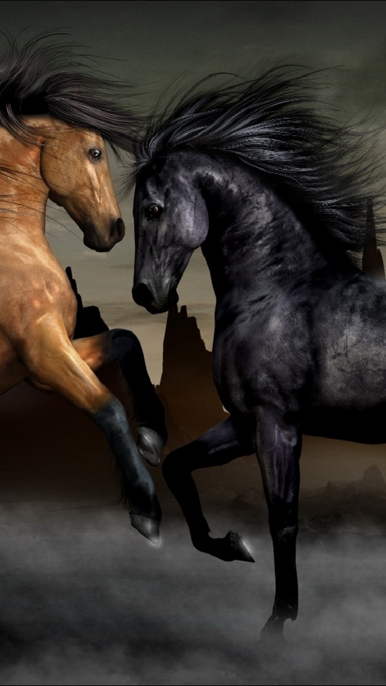 Black Brown Horses Wallpaper 388 iPhone 6