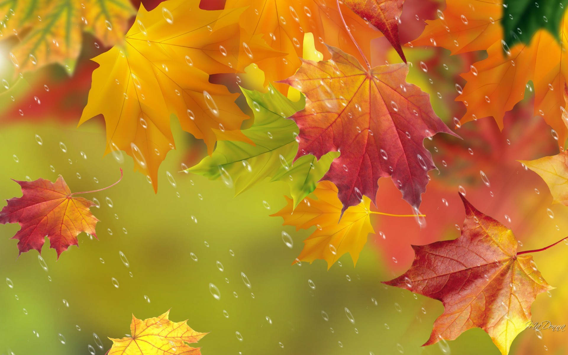Wallpaper autumn, leaves, drops, rain, maple for mobile and desktop, section природа, resolution 1920x1200