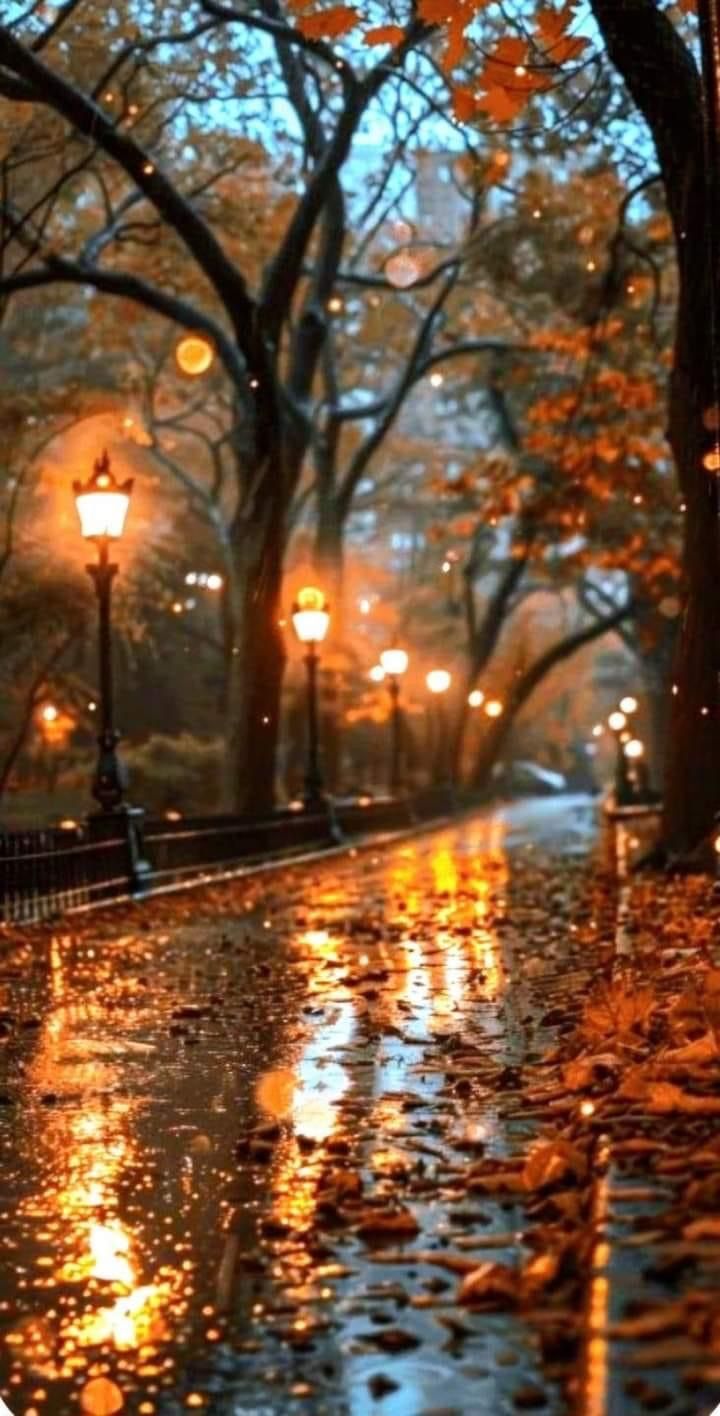 All Things Fall. Fall wallpaper, Cute fall wallpaper, iPhone wallpaper fall