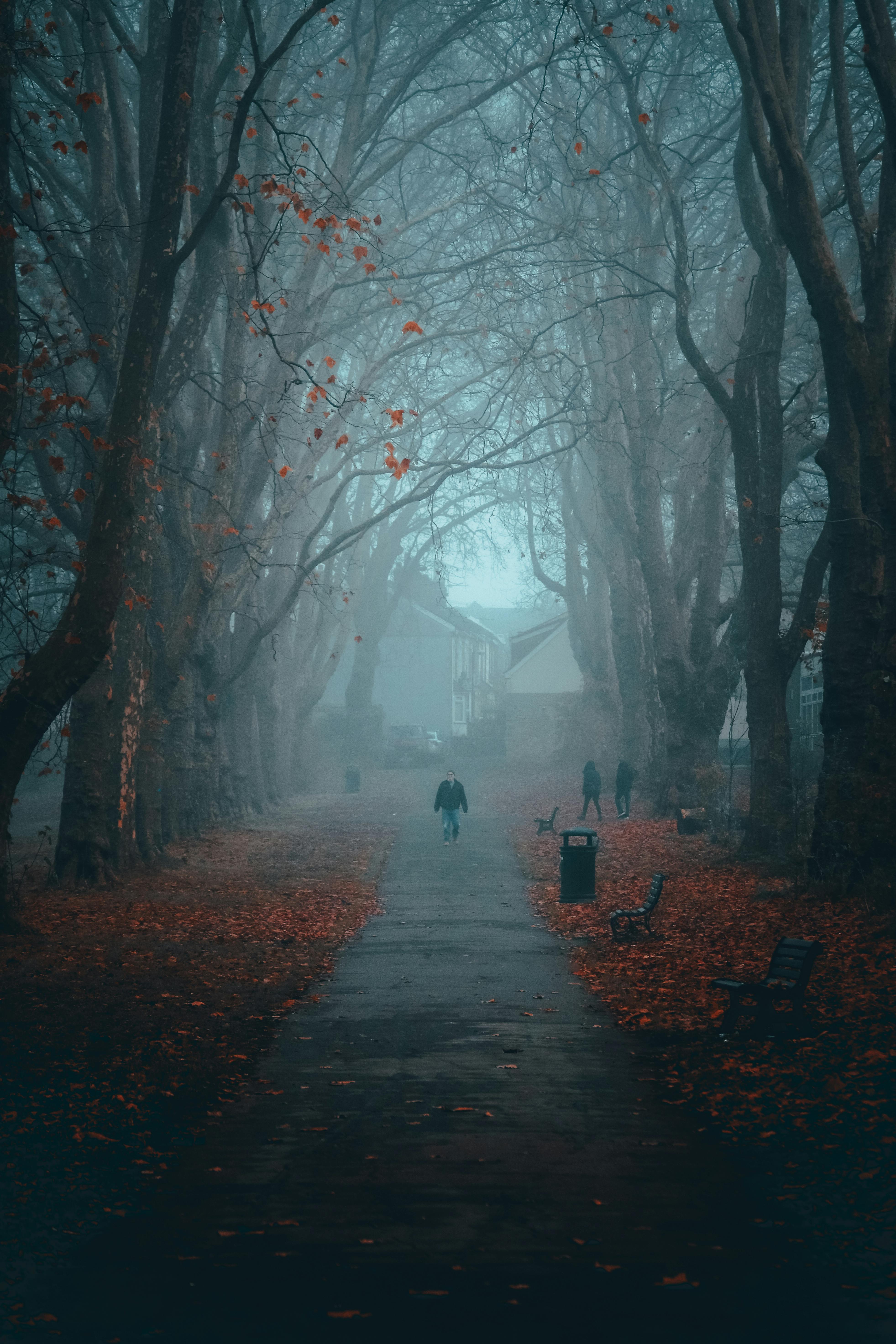 Photo of a Park in Autumn · Free