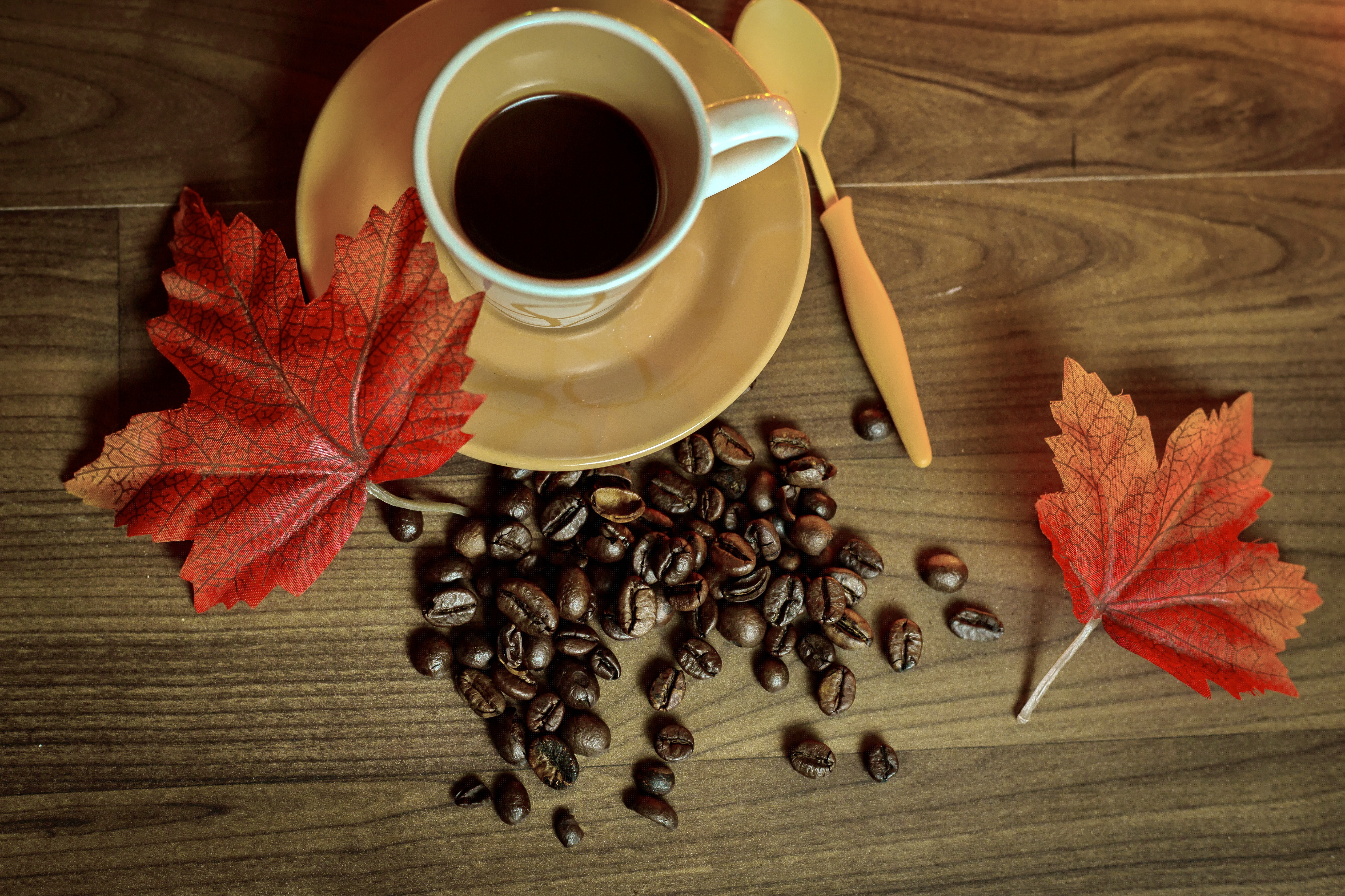 Wallpaper autumn, coffee, Cup, book, autumn, leaves, cup, beans for mobile and desktop, section еда, resolution 5045x3363