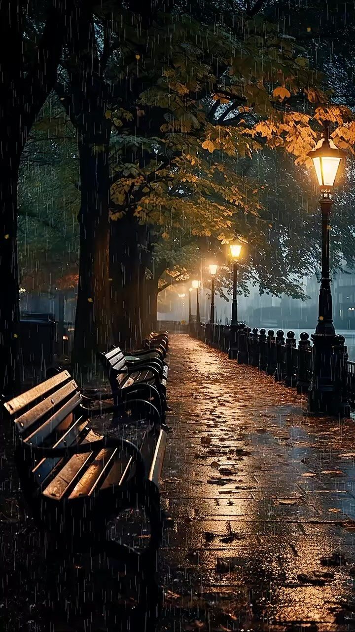 Autumn Leaves in the Rain