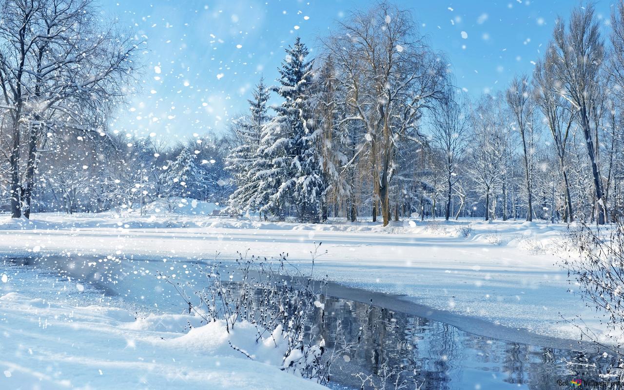Winter White Landscape 2K wallpaper download