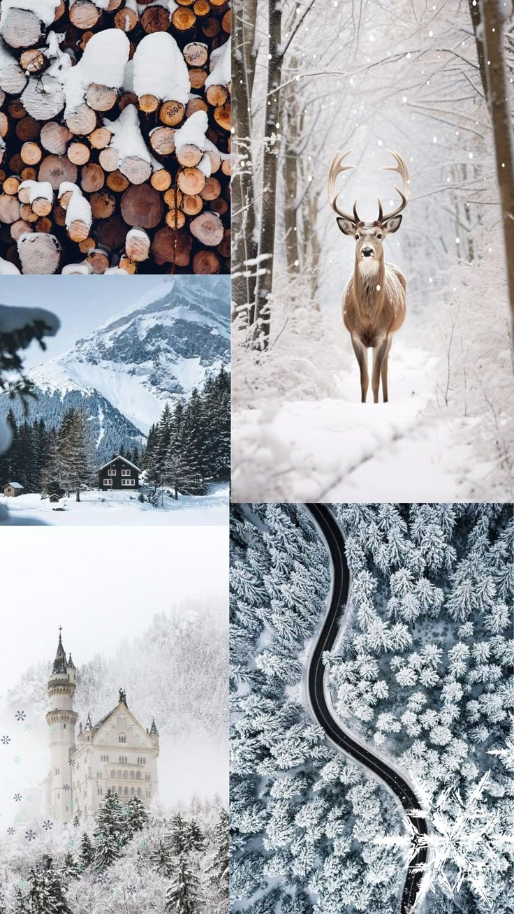 wallpaper. Winter wallpaper, Cute christmas wallpaper, iPhone wallpaper