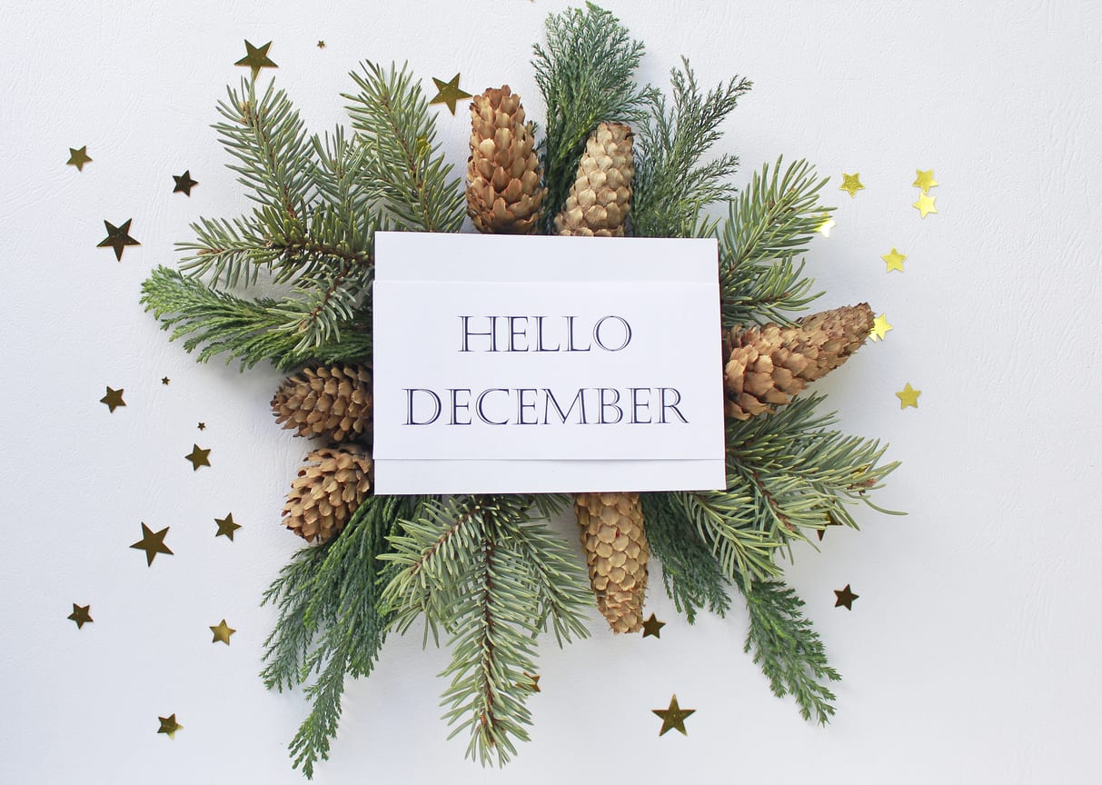 December Holidays, Observances 2025: Daily, Weekly, Monthly