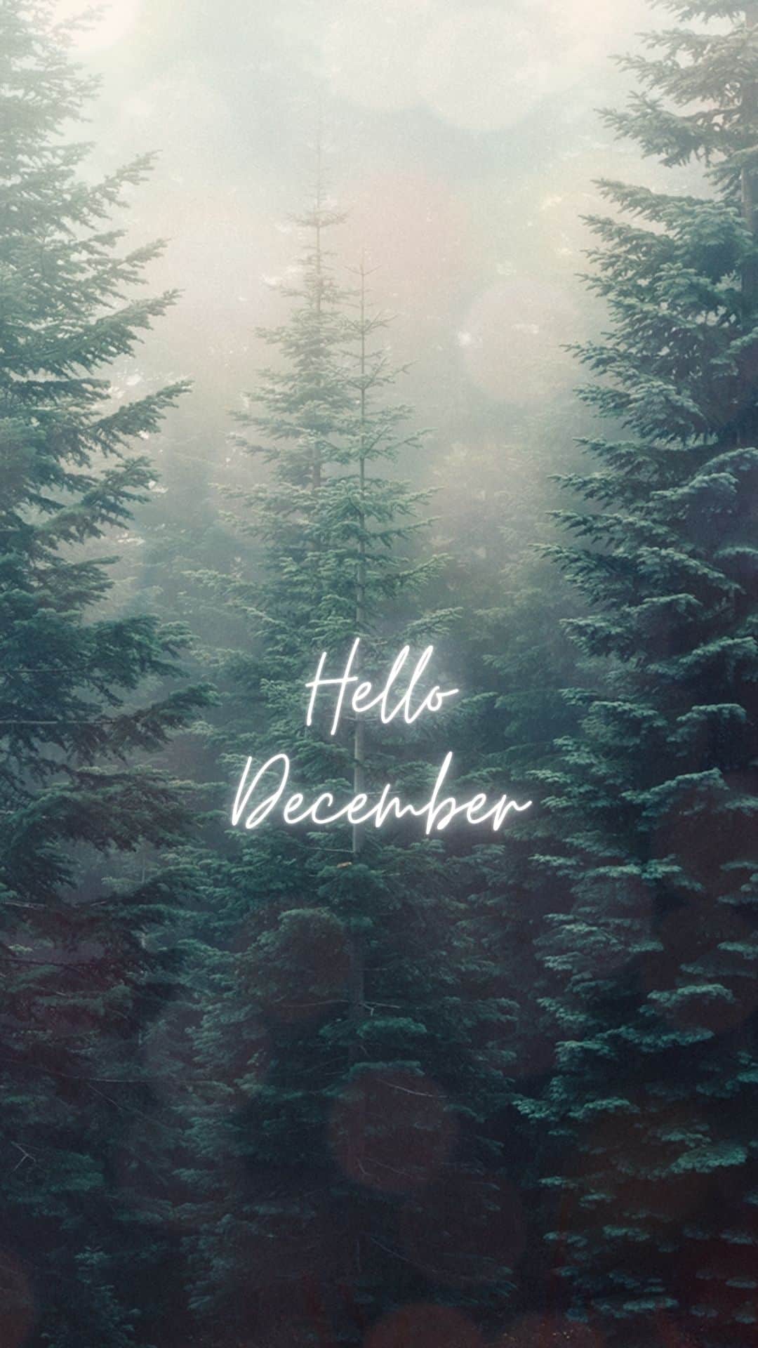 Free December Wallpaper for the Phone Penny Pincher