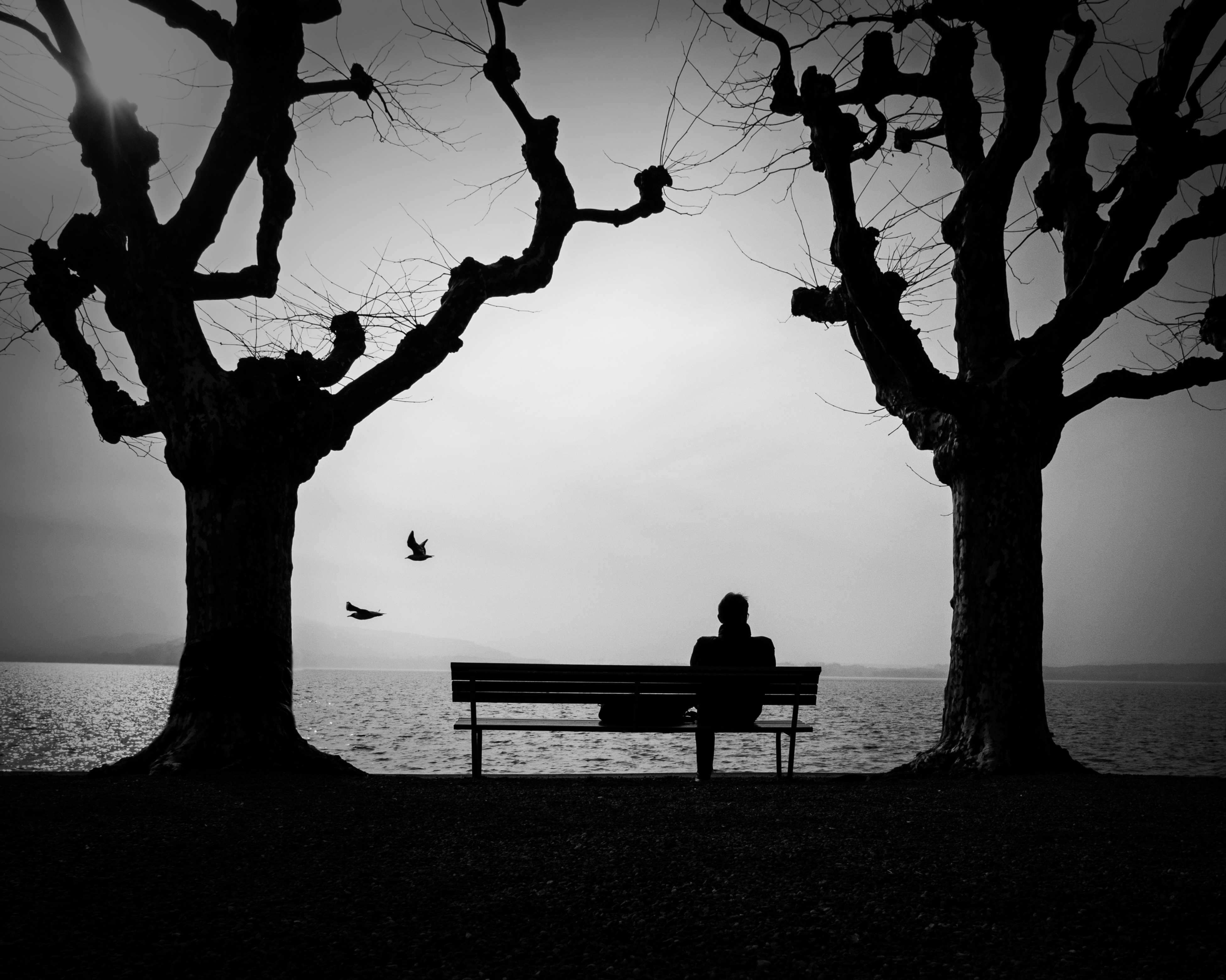 Alone Phone Wallpaper: Free 4K & HD Downloads