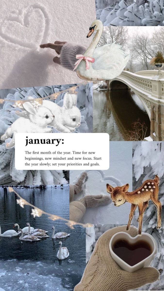 Start The Year With This Serene January Inspired Phone Wallpaper. Featuring Soft Winter Hues, Snowy Swans, Delicate Bunnies, And Warm Knit Details, This Coquette Aesthetic Collage Embodies New Beginnings, Peaceful Moments, And Cozy