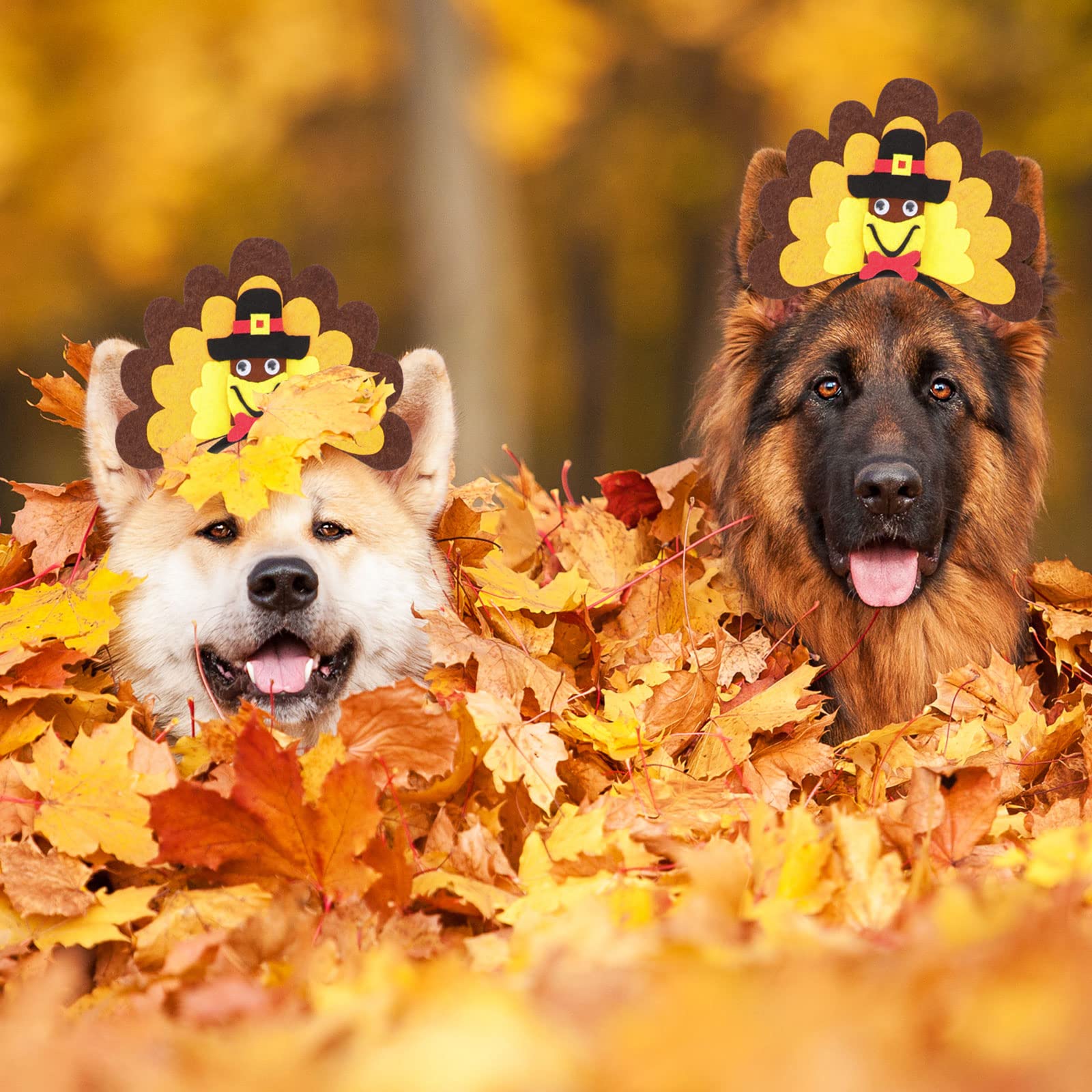 Amazon.com, RYPET Turkey Dog Headband Thanksgiving Costume for Medium and Large Dogs, Pet Supplies