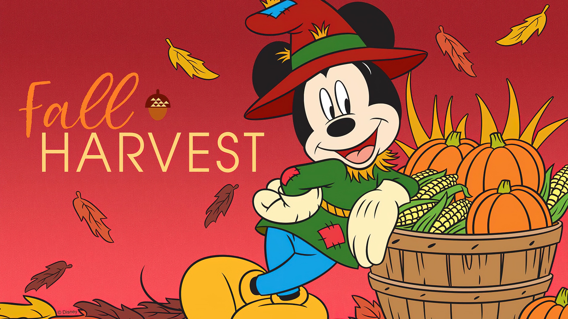 Fall Wallpaper 4K, Thanksgiving, Mickey Mouse