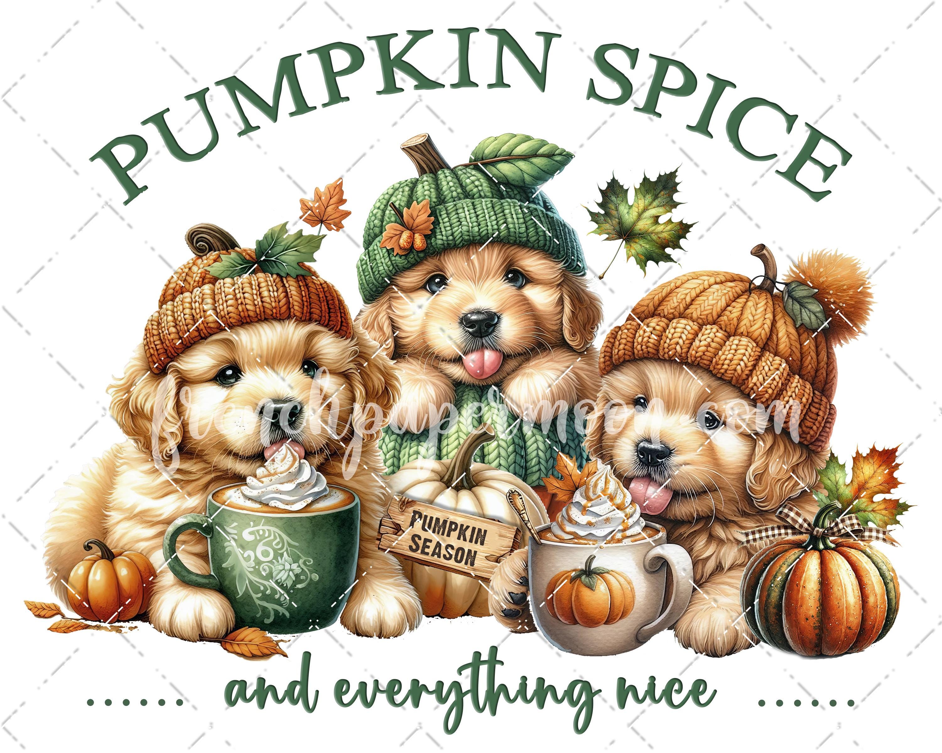 Pumpkin Spice Golden Retriever Puppies, Pumpkin Season, Pumpkin Spice Latte, Cute Fall Digital, DIY Signs, Fabric Transfer, Sublimation PNG
