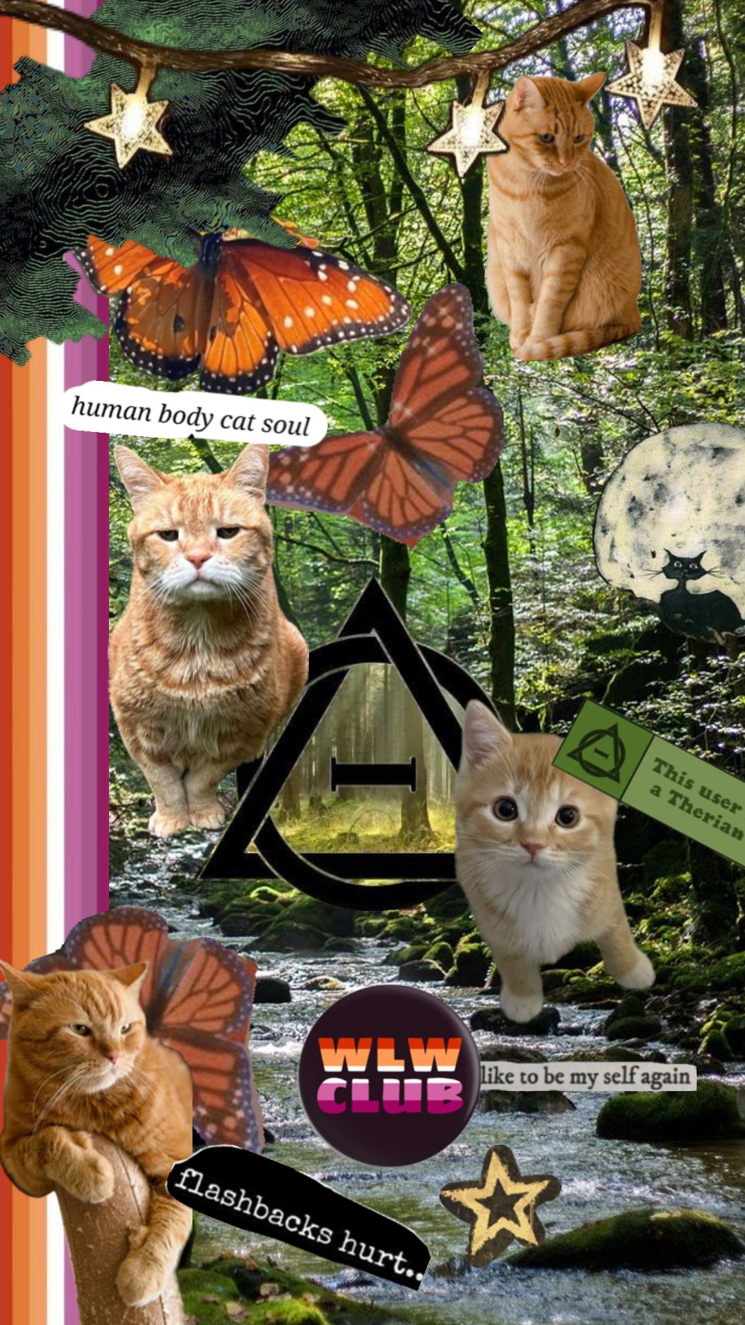 Ginger cat therian wallpaper! #therian