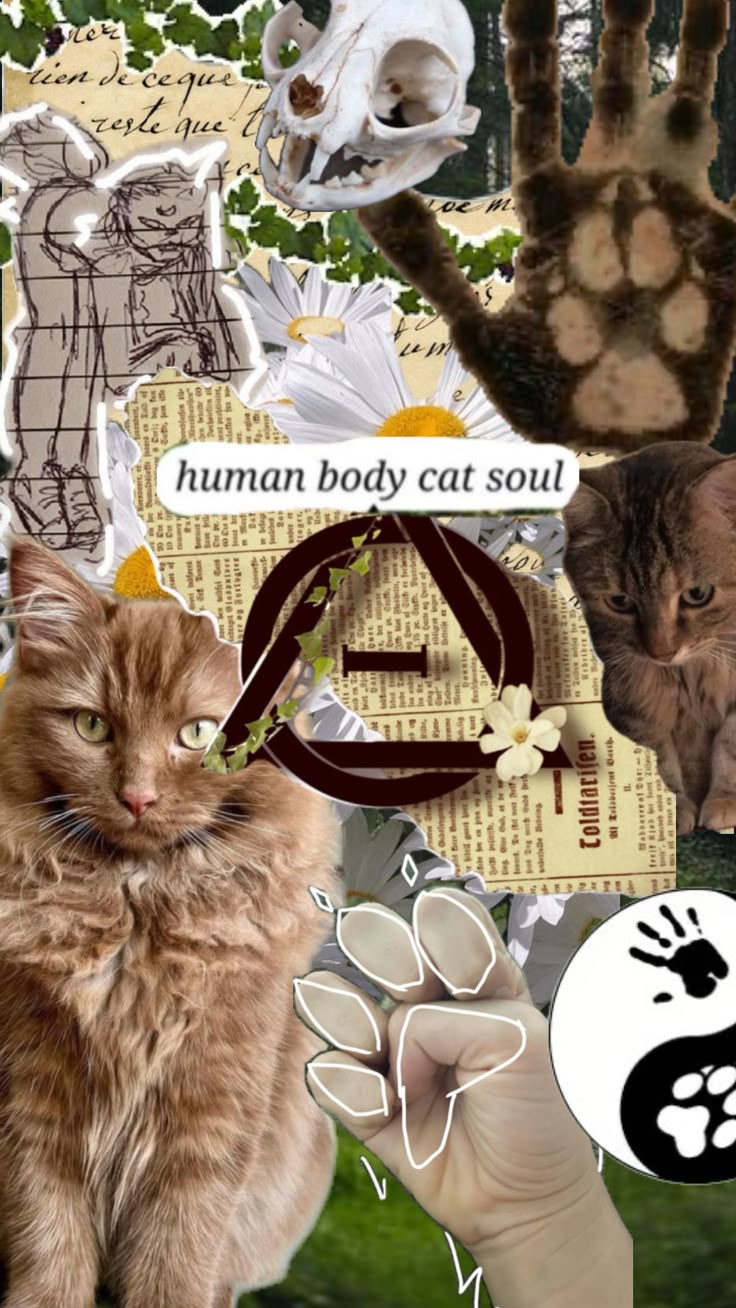 Cat therian #therian #cat #theriantropy #therianwallpaper #cattherian