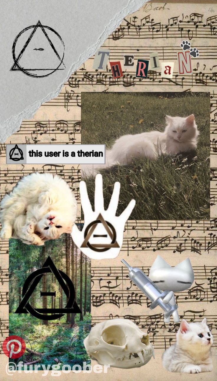 White cat therian wallpaper for a friend <33