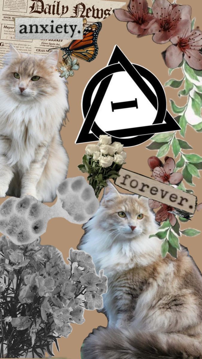 Free therian Cat wallpaper