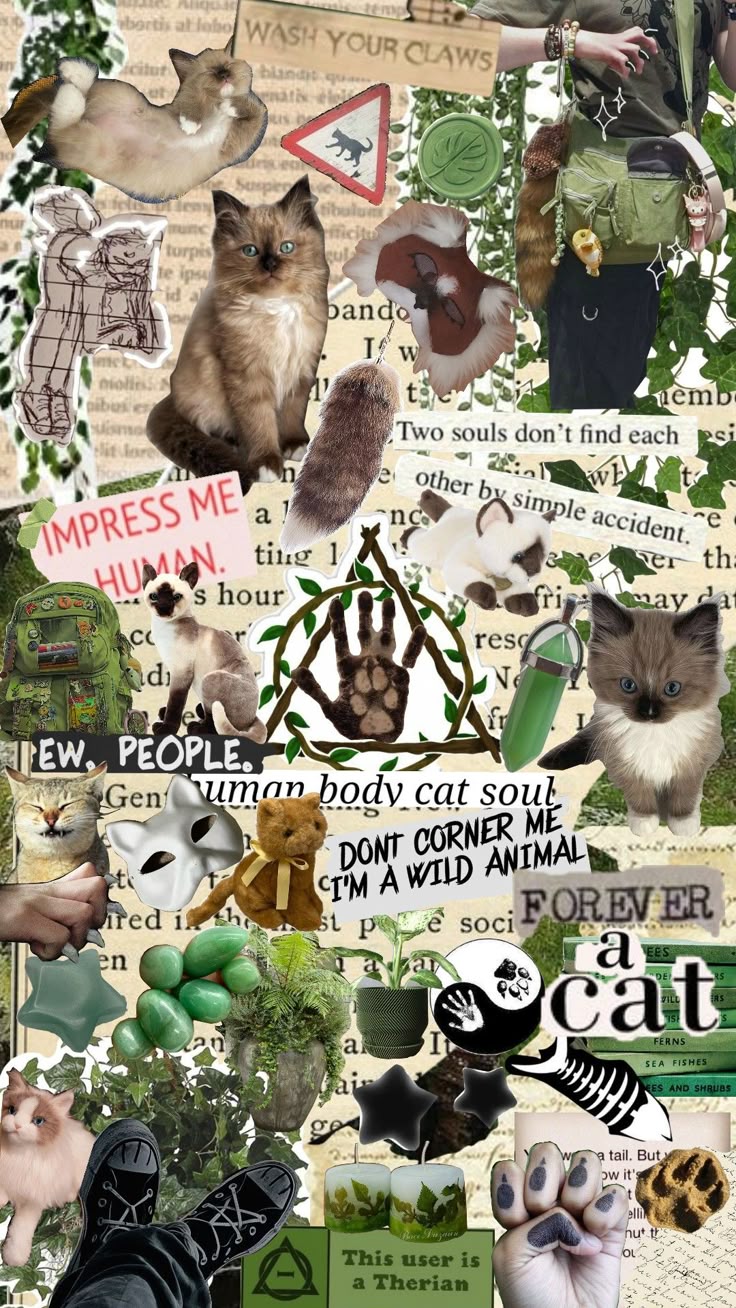 therian #therianthropy #moodboards #ragdollcat #cat #cattherian #aesthetic. Sfondi iphone, Sfondi, Idee