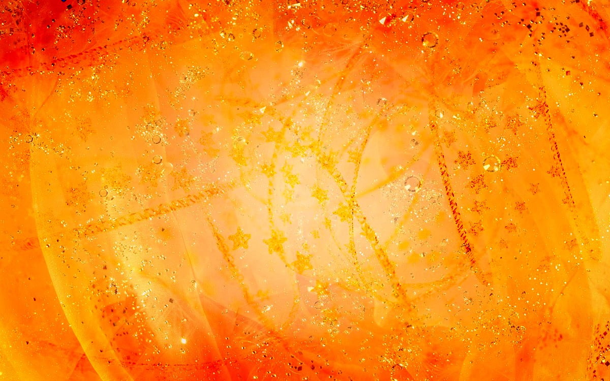 Wallpaper Tenderness, Orange, Yellow. Best Free picture