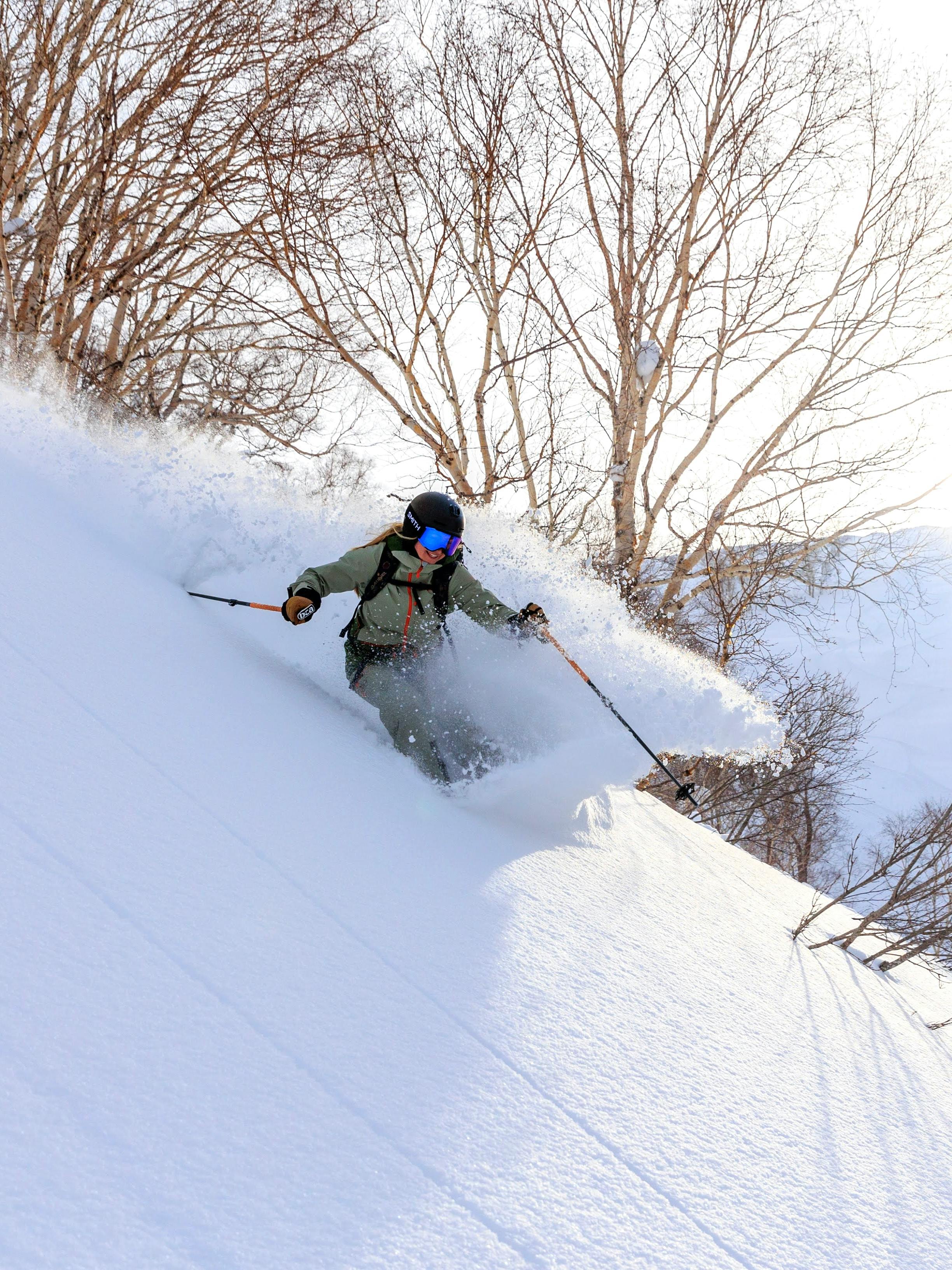 Dynamic Skier on Powder Snow in Winter Landscape · Free
