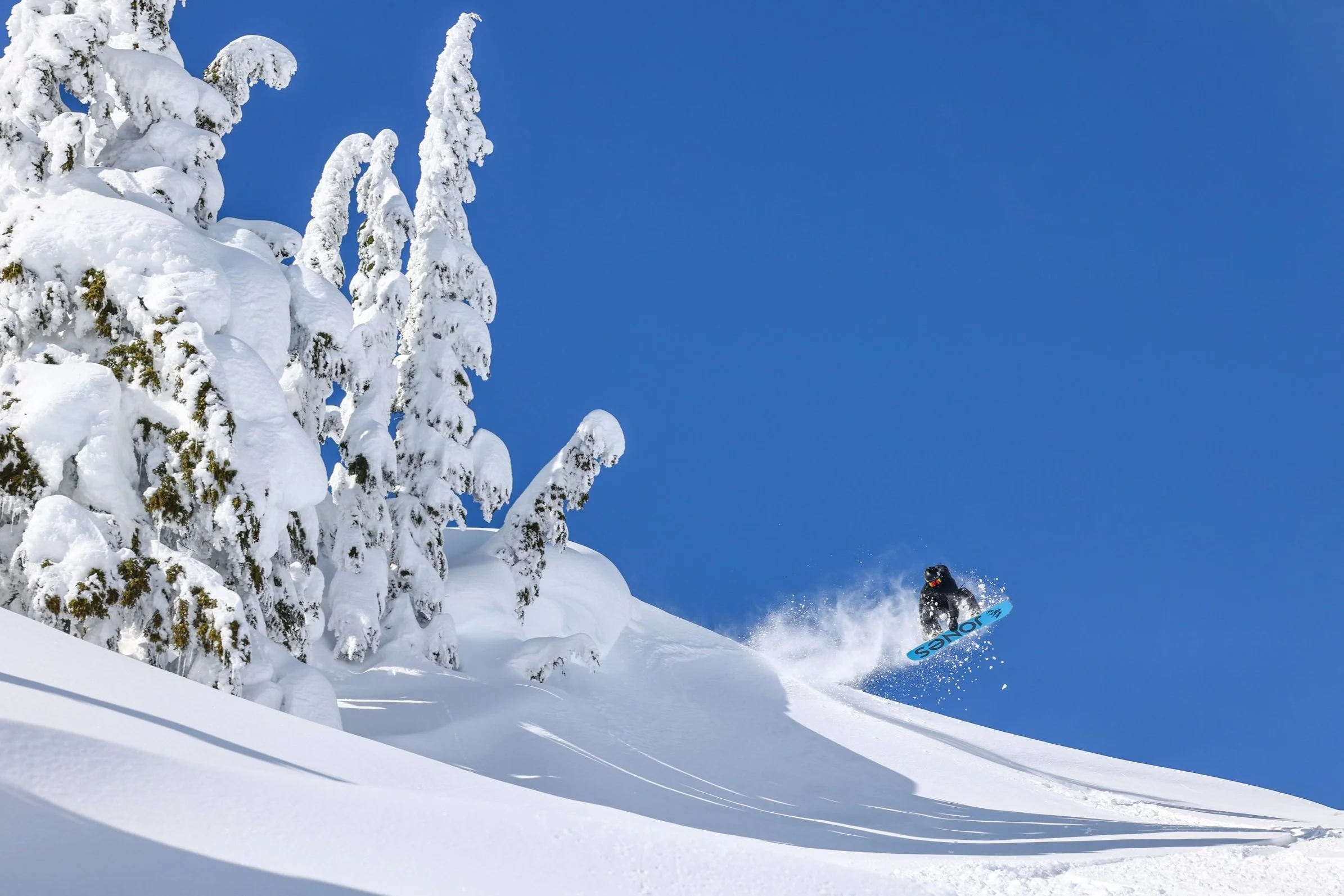 Powder Mountain Heli Skiing & Cat Skiing