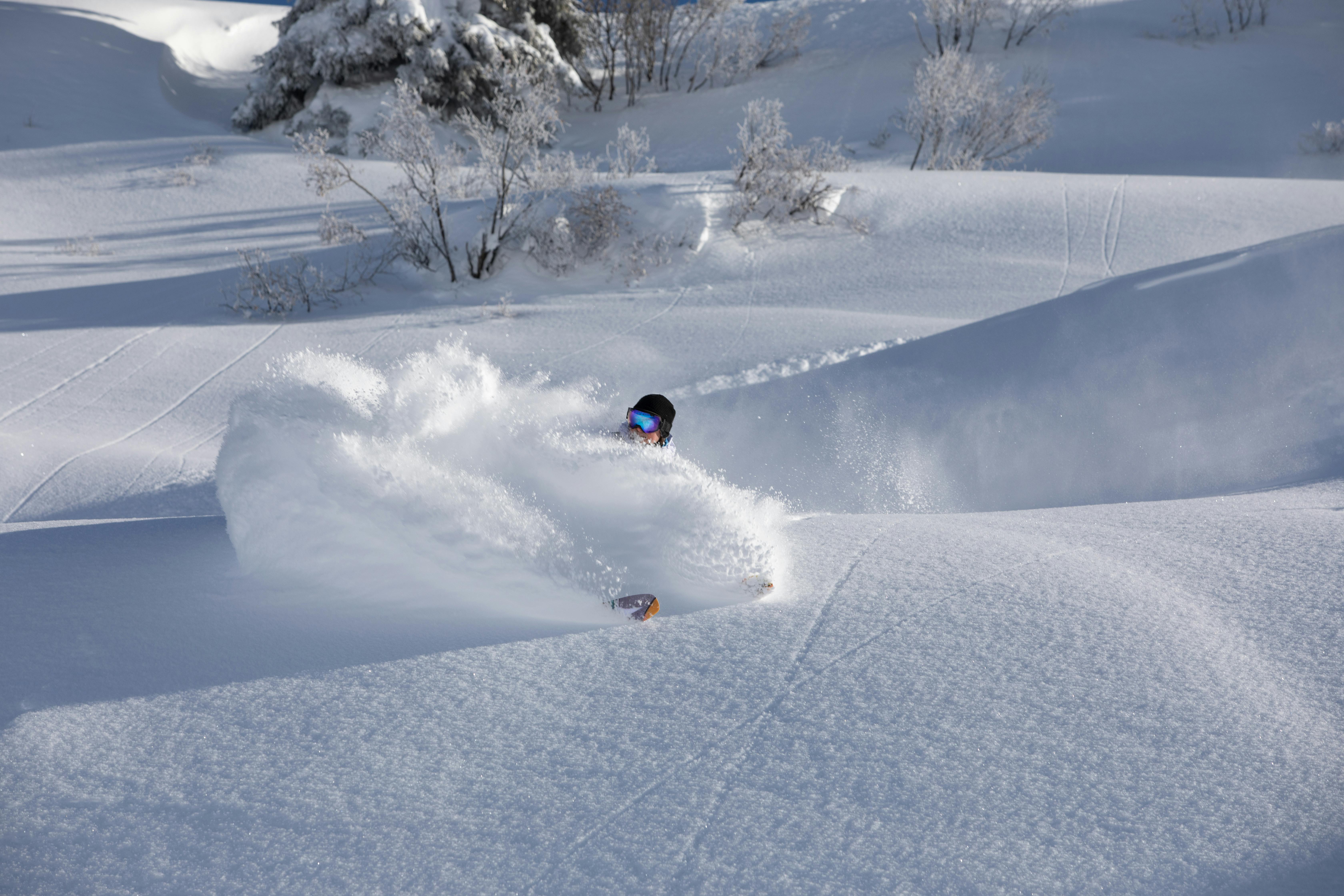 Dynamic Skier on Powder Snow in Winter Landscape · Free