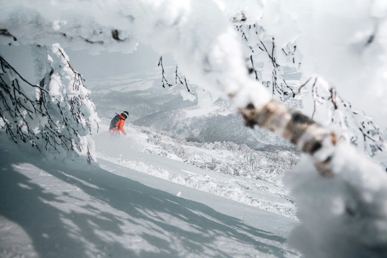 Plan the perfect powder ski vacation in 2025