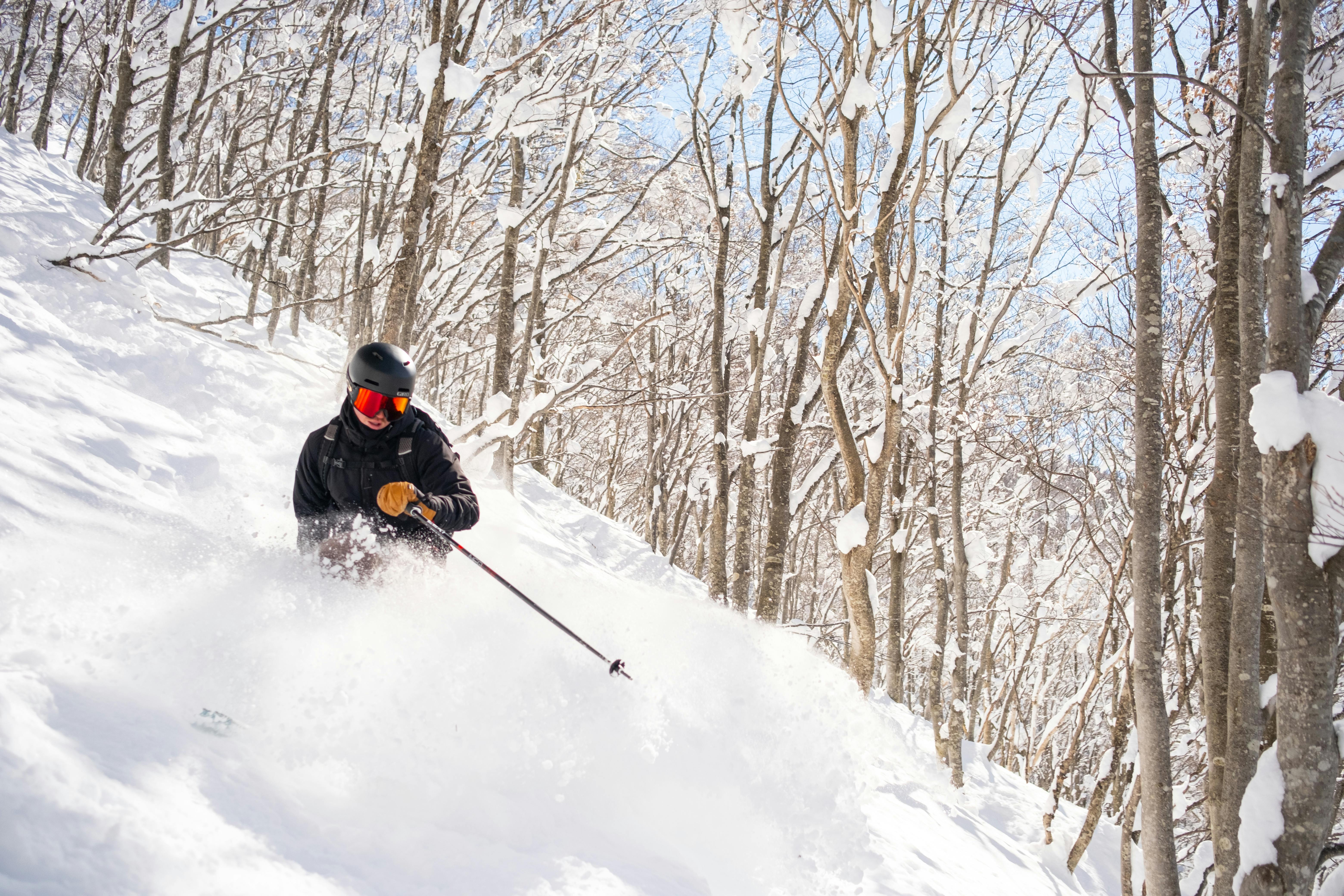 Dynamic Skier on Powder Snow in Winter Landscape · Free
