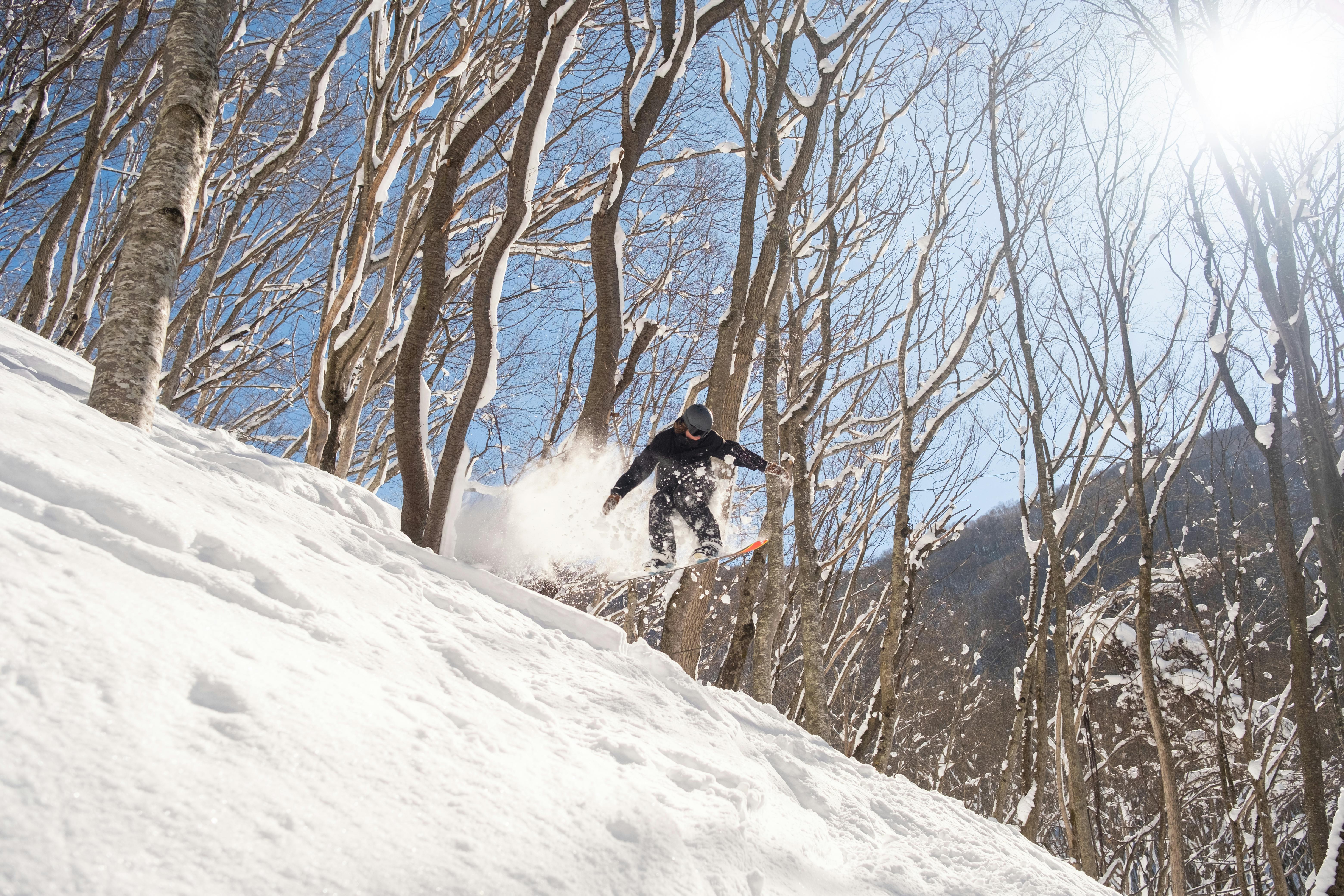 Dynamic Skier on Powder Snow in Winter Landscape · Free