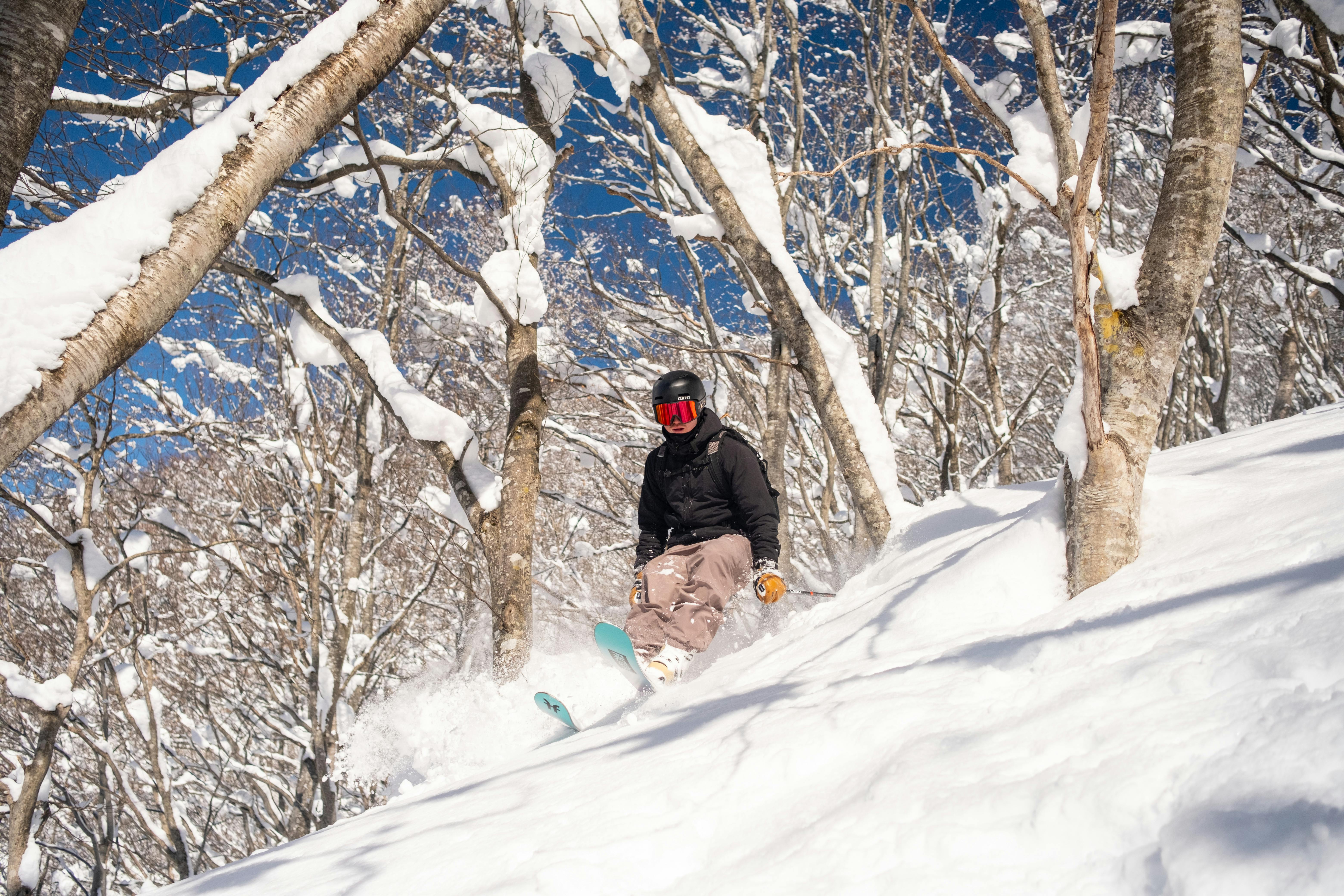 Dynamic Skier on Powder Snow in Winter Landscape · Free