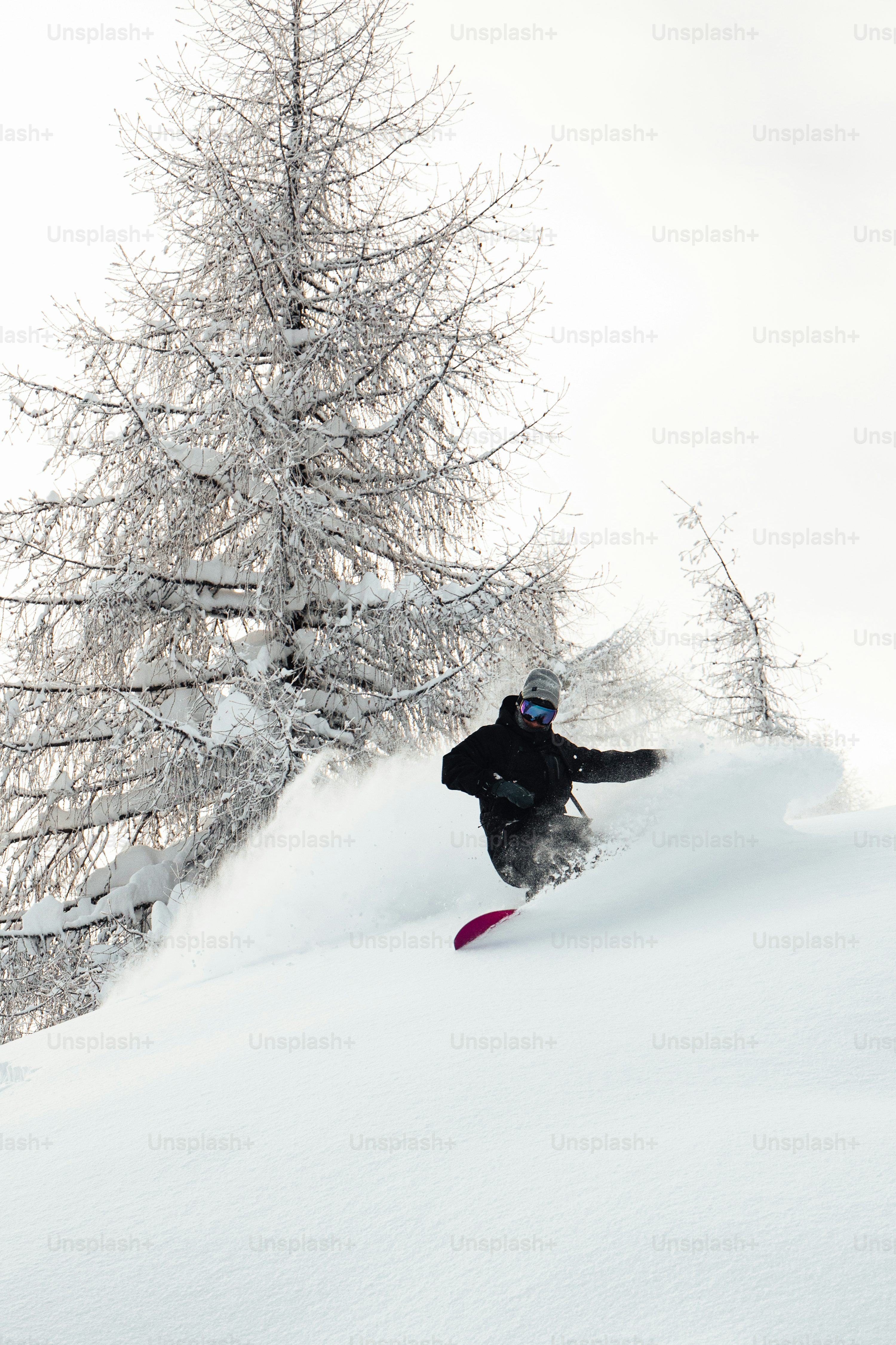 Powder Snow Picture. Download Free Image