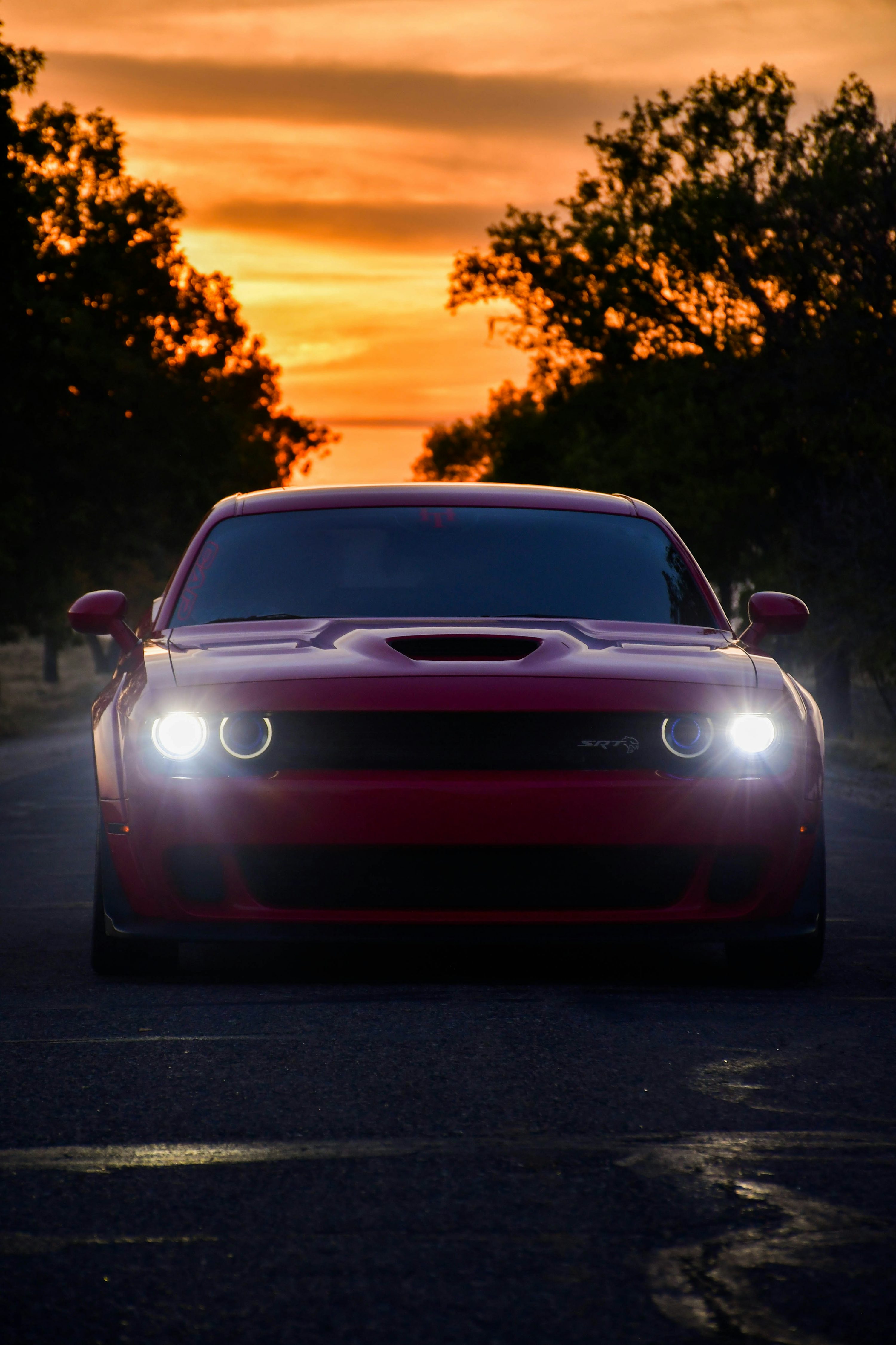 Hellcat Picture. Download Free Image