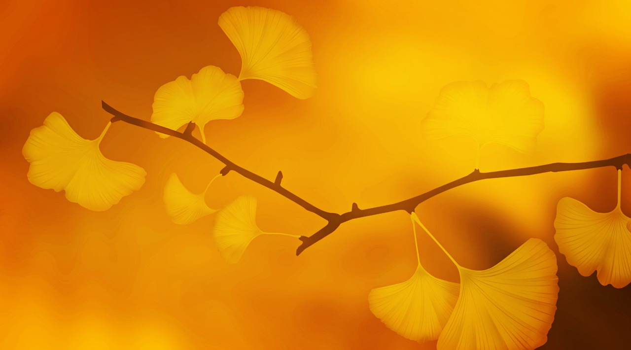 Texture Background Ginkgo
