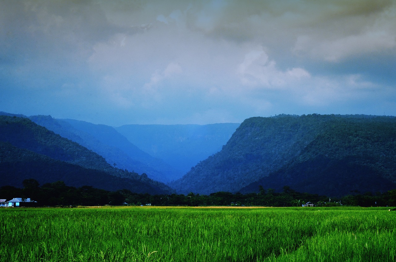 Download free photo of Landscape, sylhet, nature, hills, green