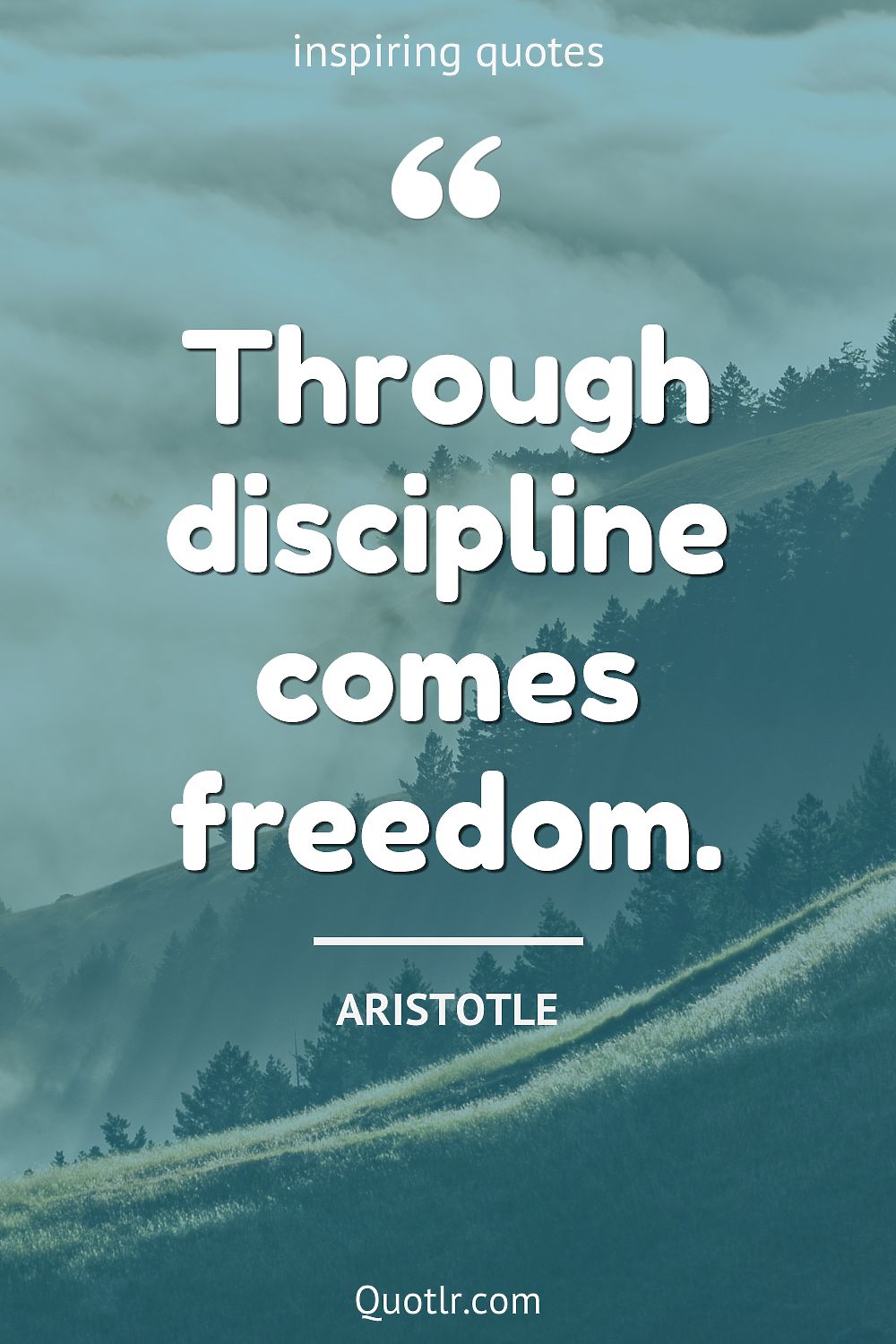Discipline Quotes to Help You Gain Control of Your Life
